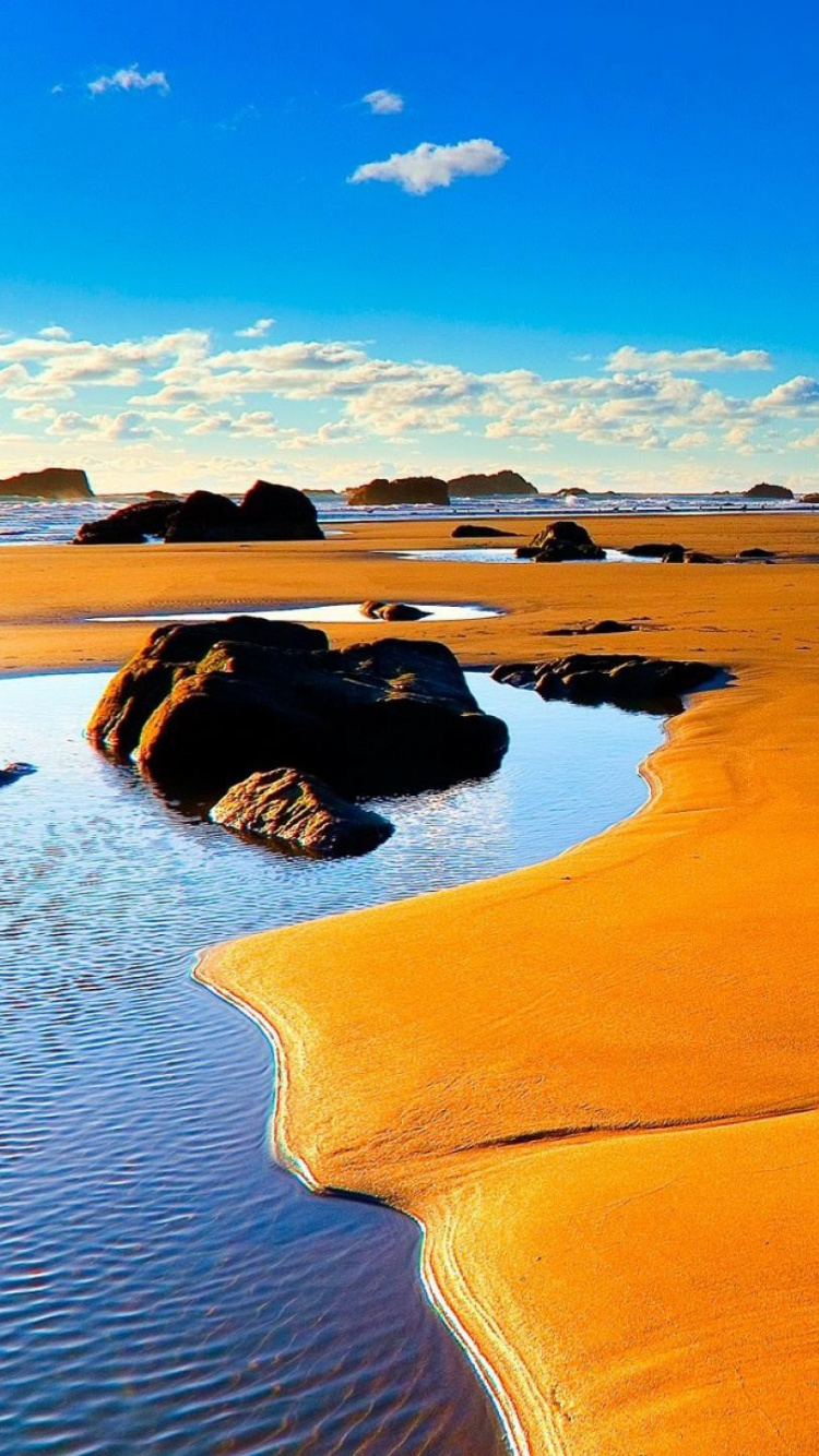 Обои песок, пустыня, эолийские рельефы, эрг, сахара в разрешении 750x1334