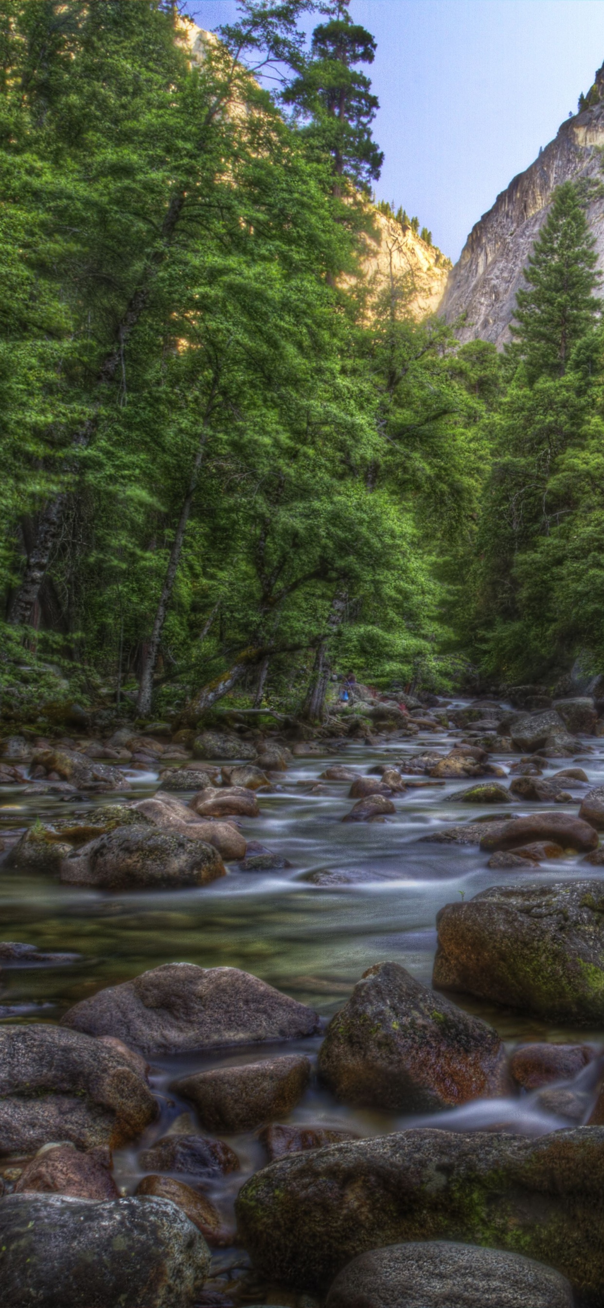 Обои водоем, природа, вода, поток, реки в разрешении 1242x2688