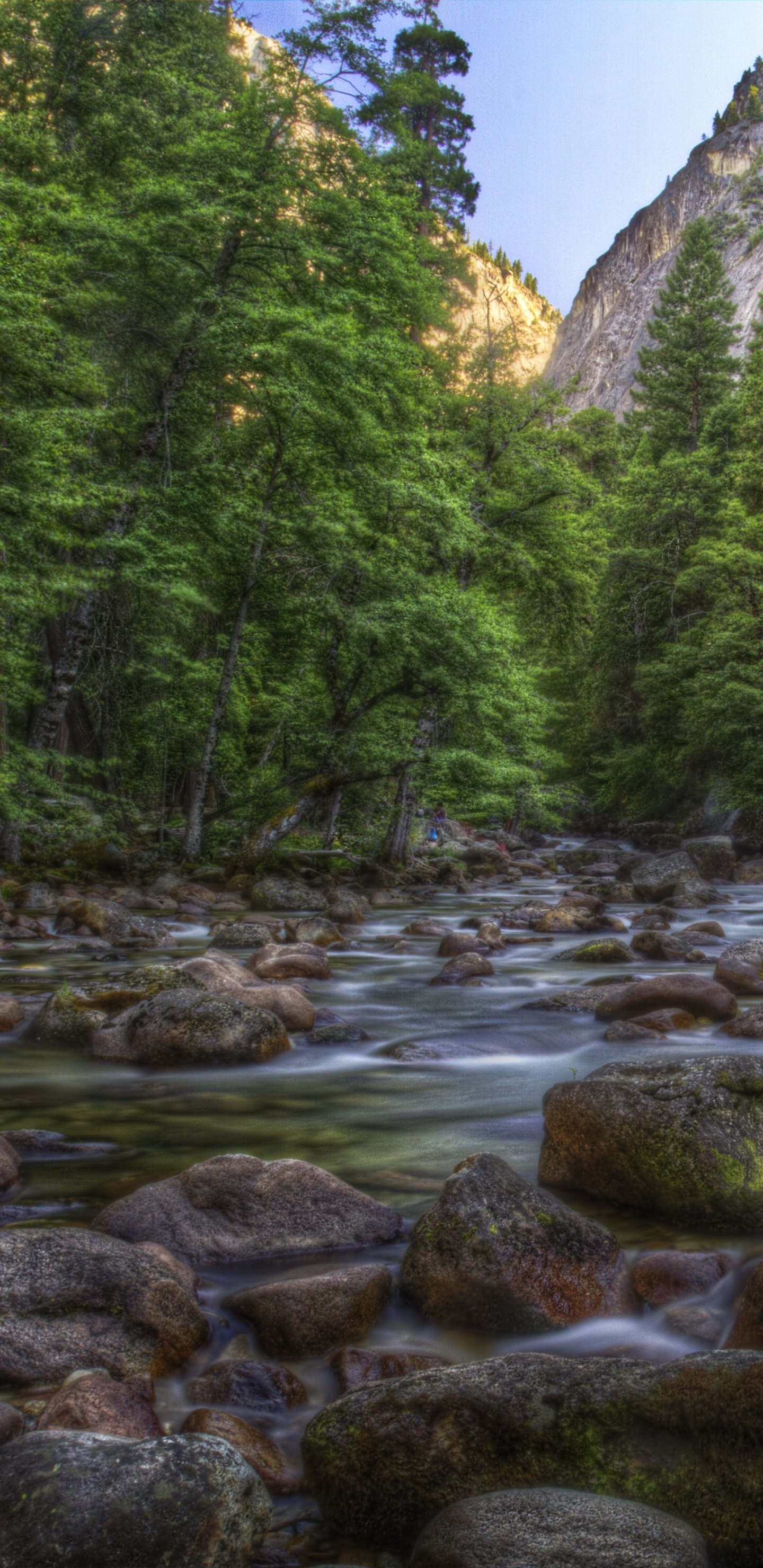 Обои водоем, природа, вода, поток, реки в разрешении 1440x2960