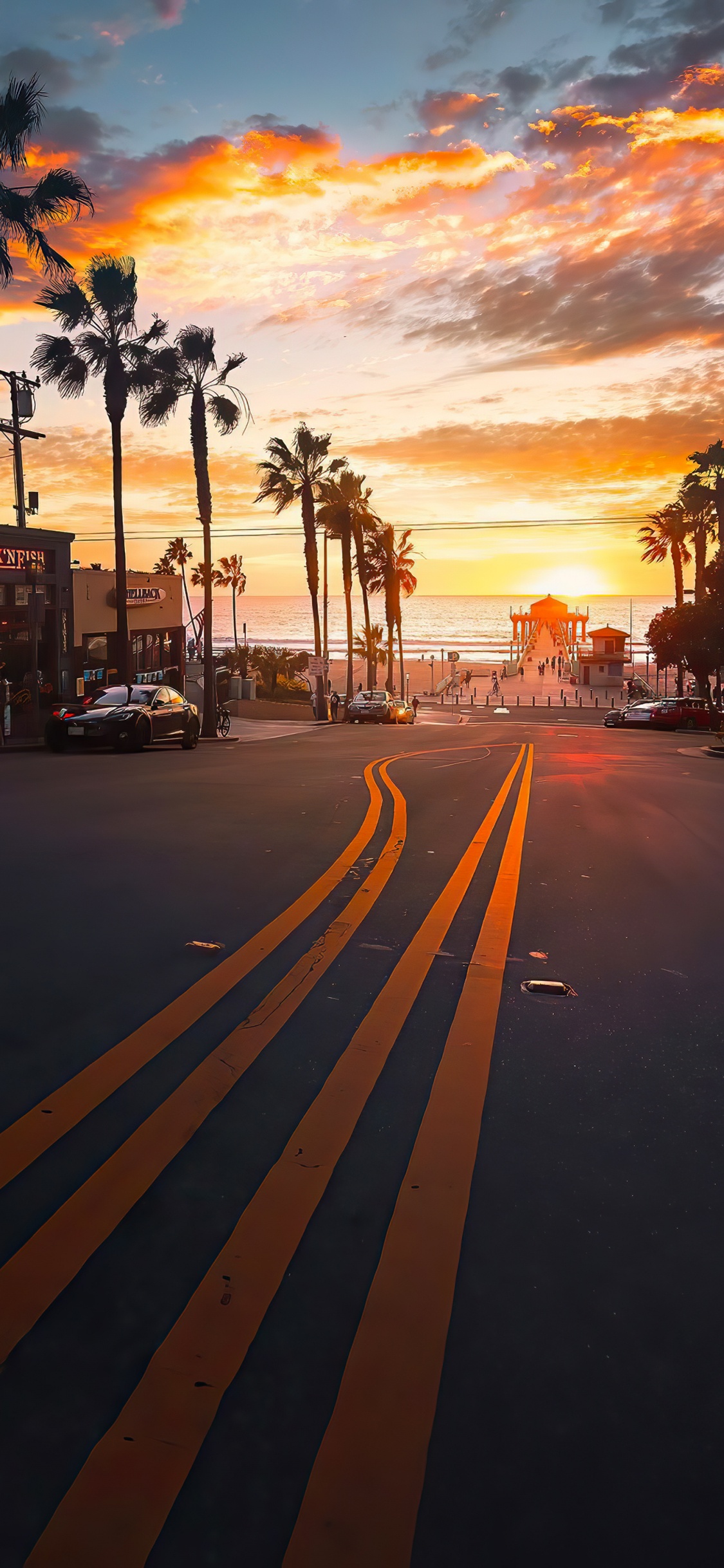 Обои закат, облако, растение, легковые автомобили, дерево в разрешении 1125x2436