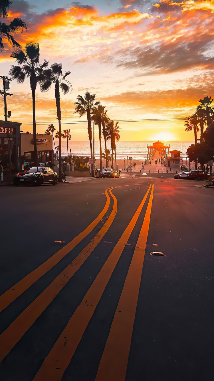 Обои закат, облако, растение, легковые автомобили, дерево в разрешении 750x1334