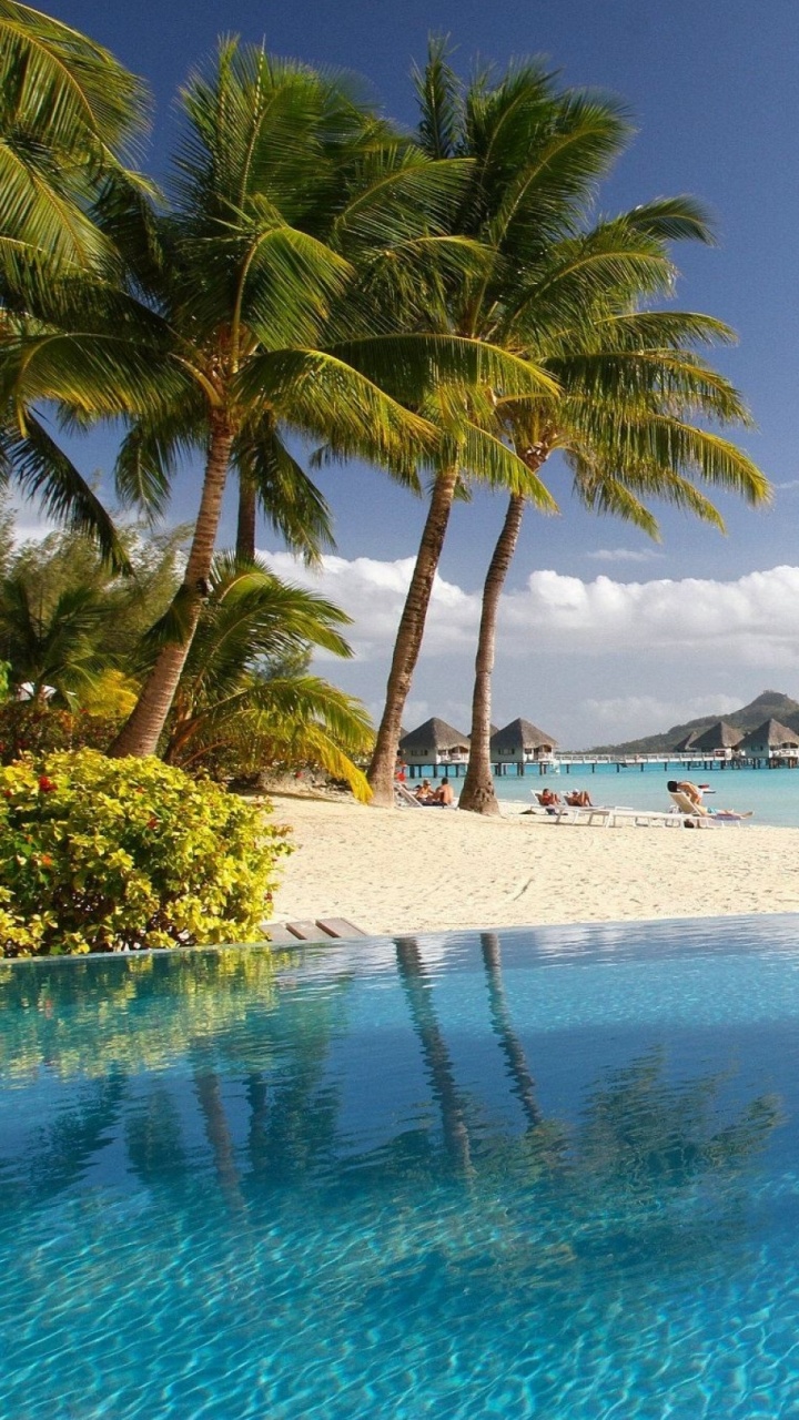 Обои пляж, прибежище, море, водоем, тропическая зона в разрешении 720x1280