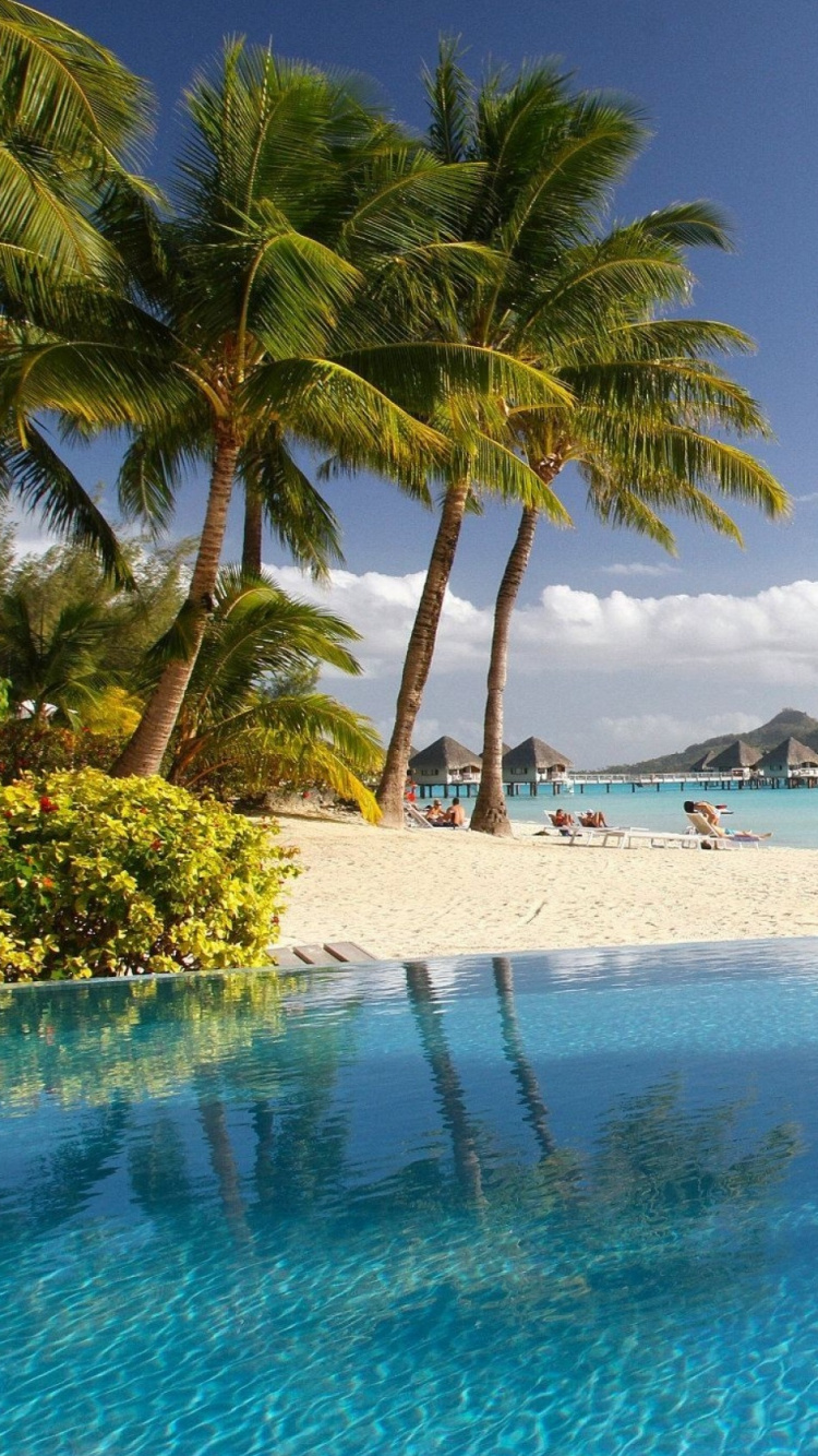 Обои пляж, прибежище, море, водоем, тропическая зона в разрешении 750x1334