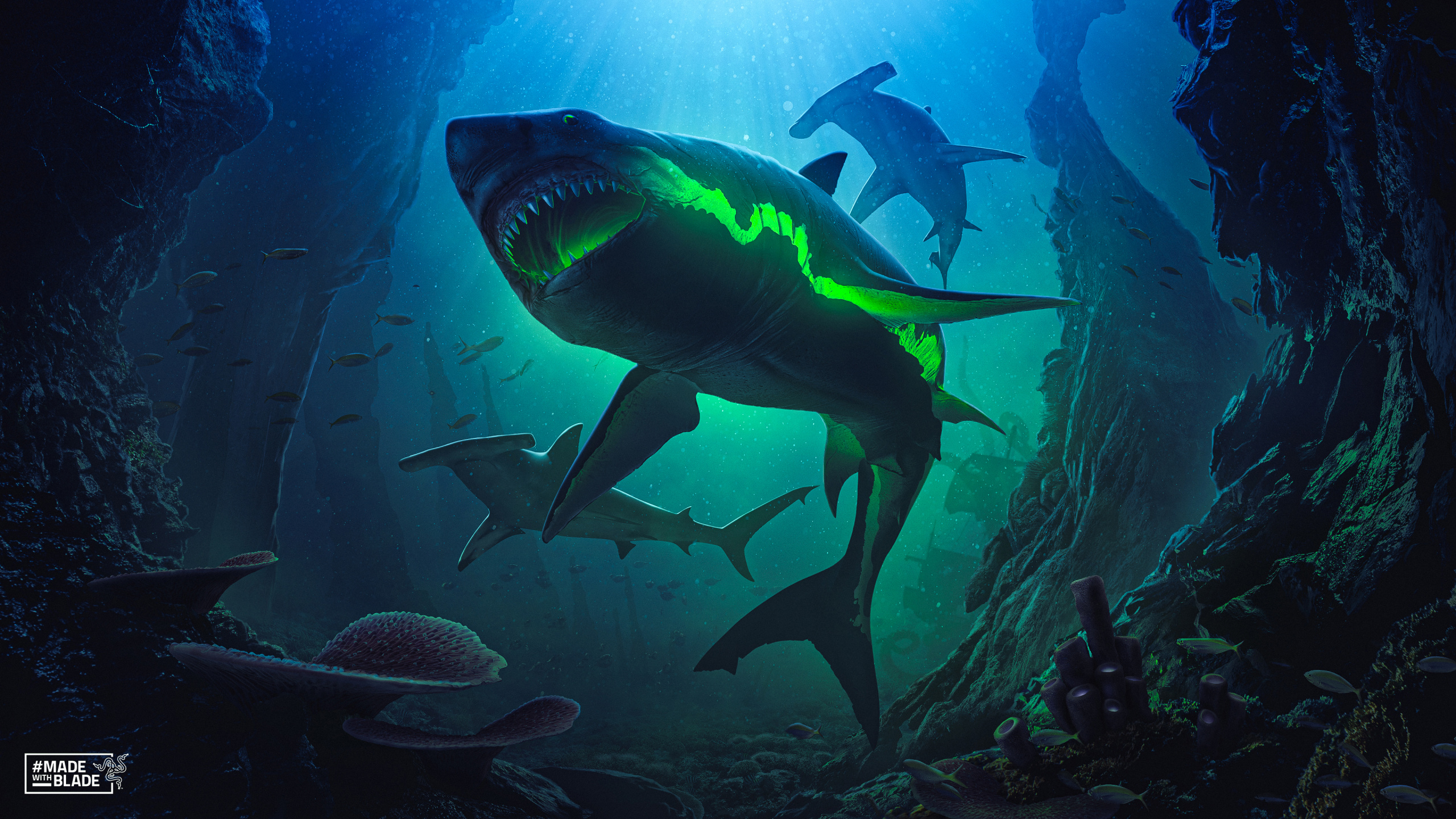 Обои большая белая акула, iMac, вода, подводное плавание, подземные воды в разрешении 2560x1440