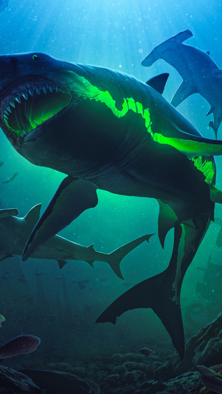 Обои большая белая акула, iMac, вода, подводное плавание, подземные воды в разрешении 720x1280