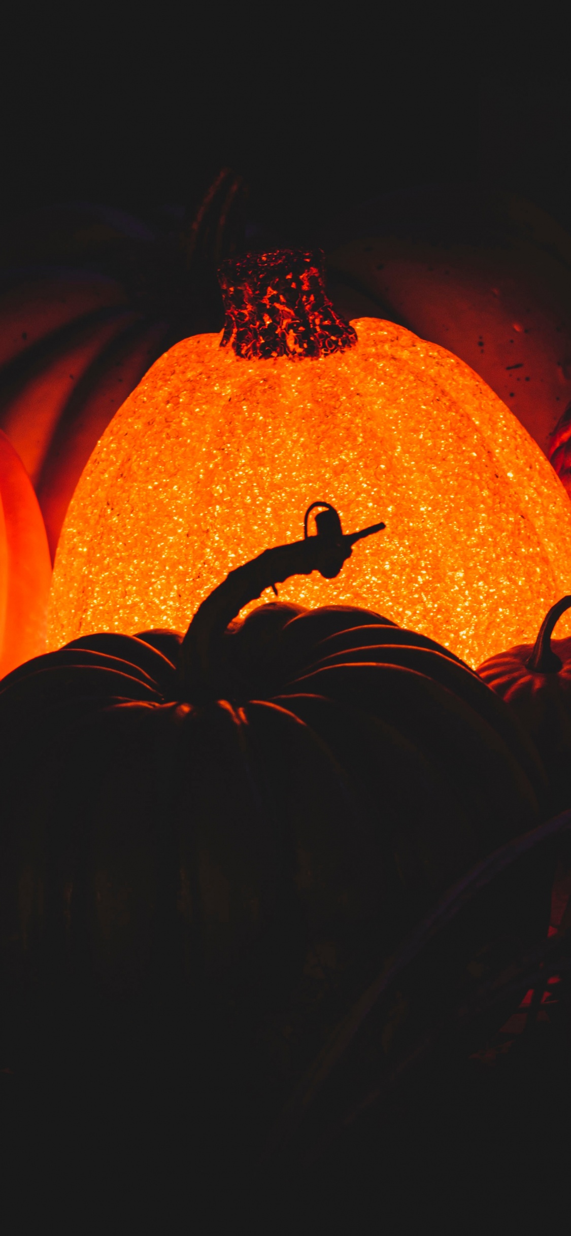 Обои тепло, Апельсин, калебас, пламя, арт в разрешении 1125x2436
