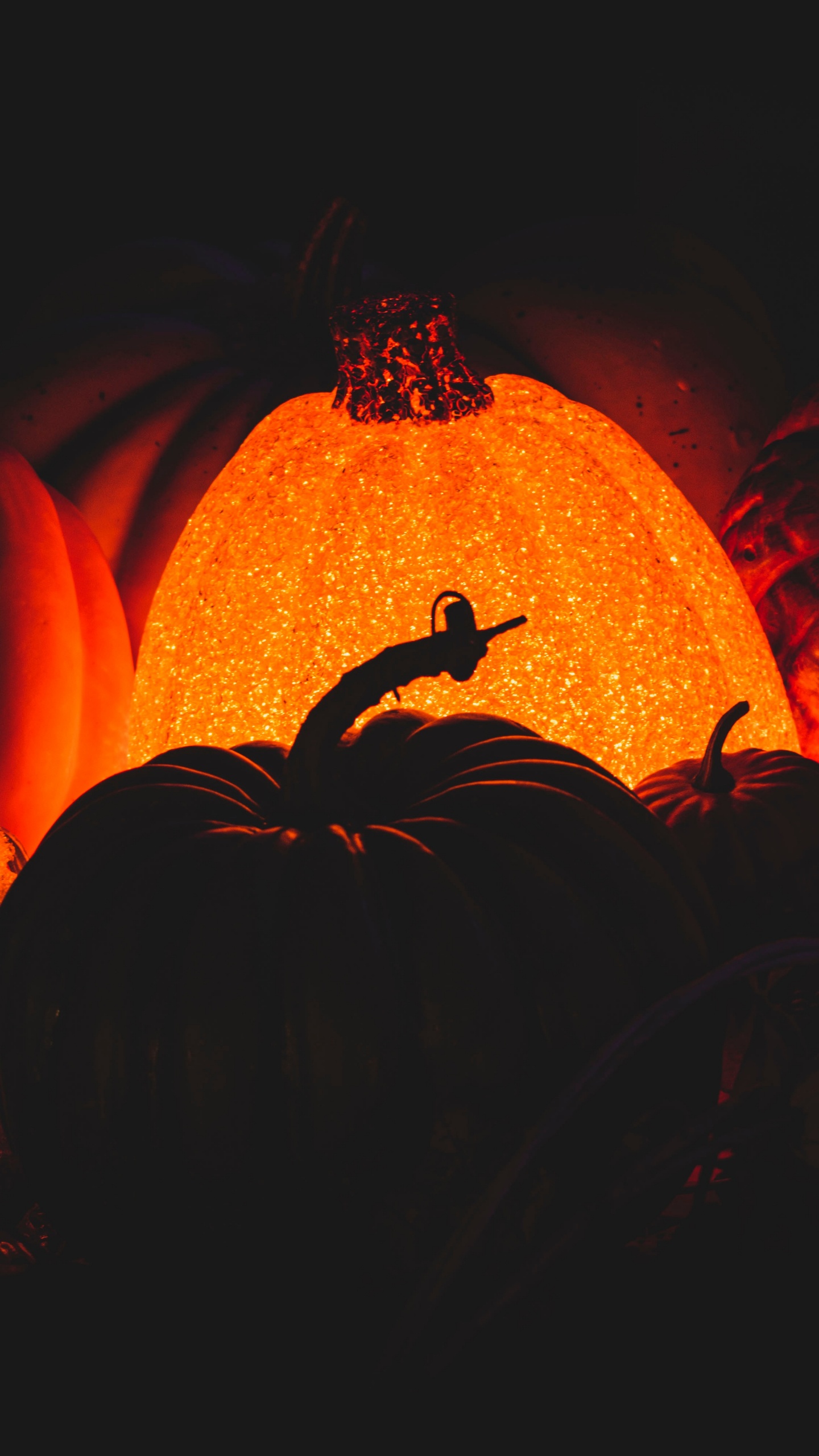Обои тепло, Апельсин, калебас, пламя, арт в разрешении 1440x2560