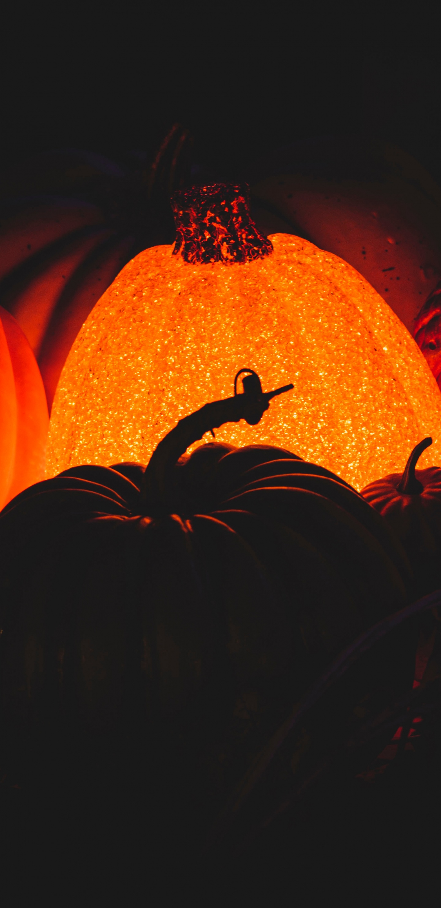 Обои тепло, Апельсин, калебас, пламя, арт в разрешении 1440x2960
