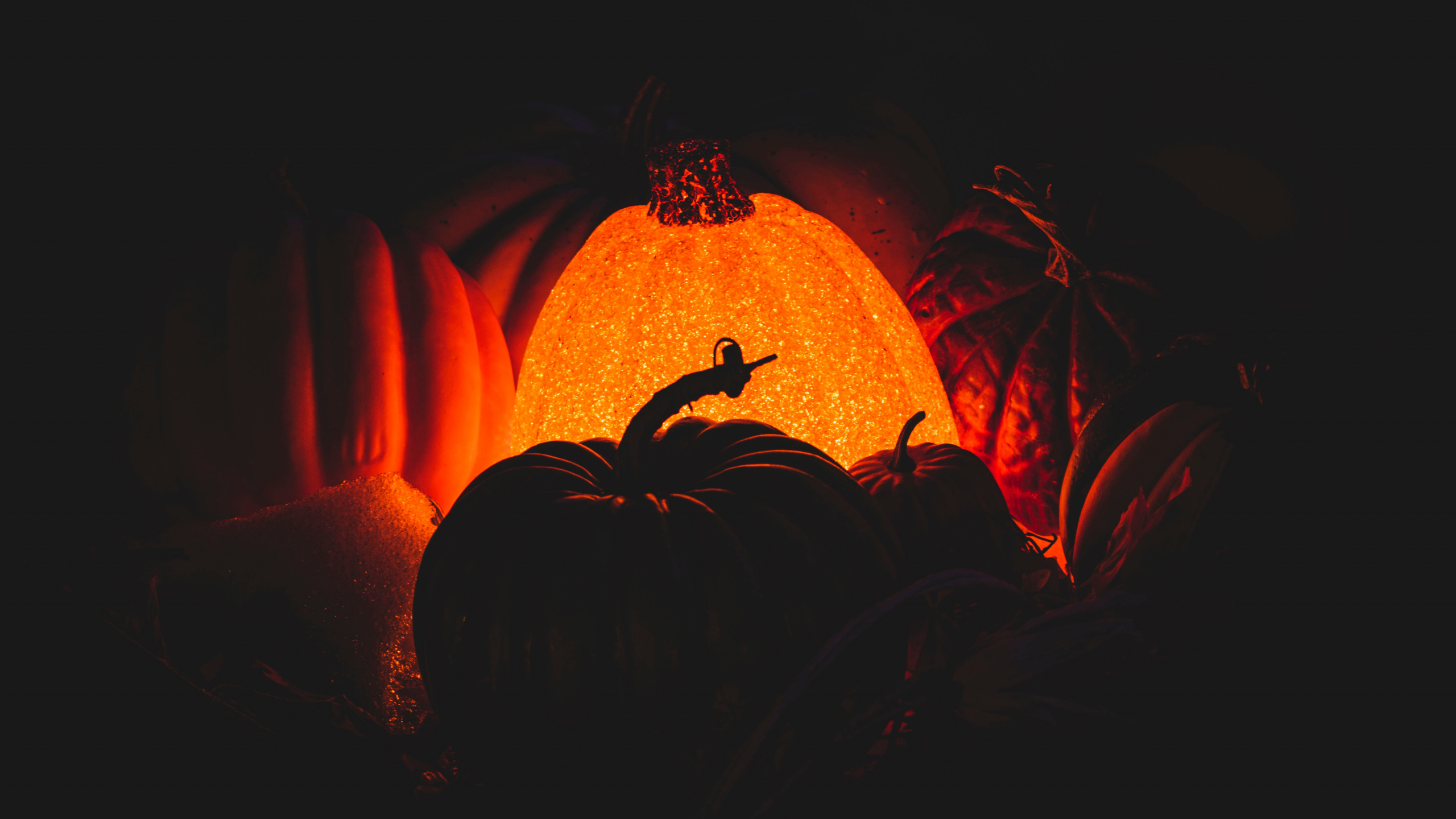 Обои тепло, Апельсин, калебас, пламя, арт в разрешении 2560x1440