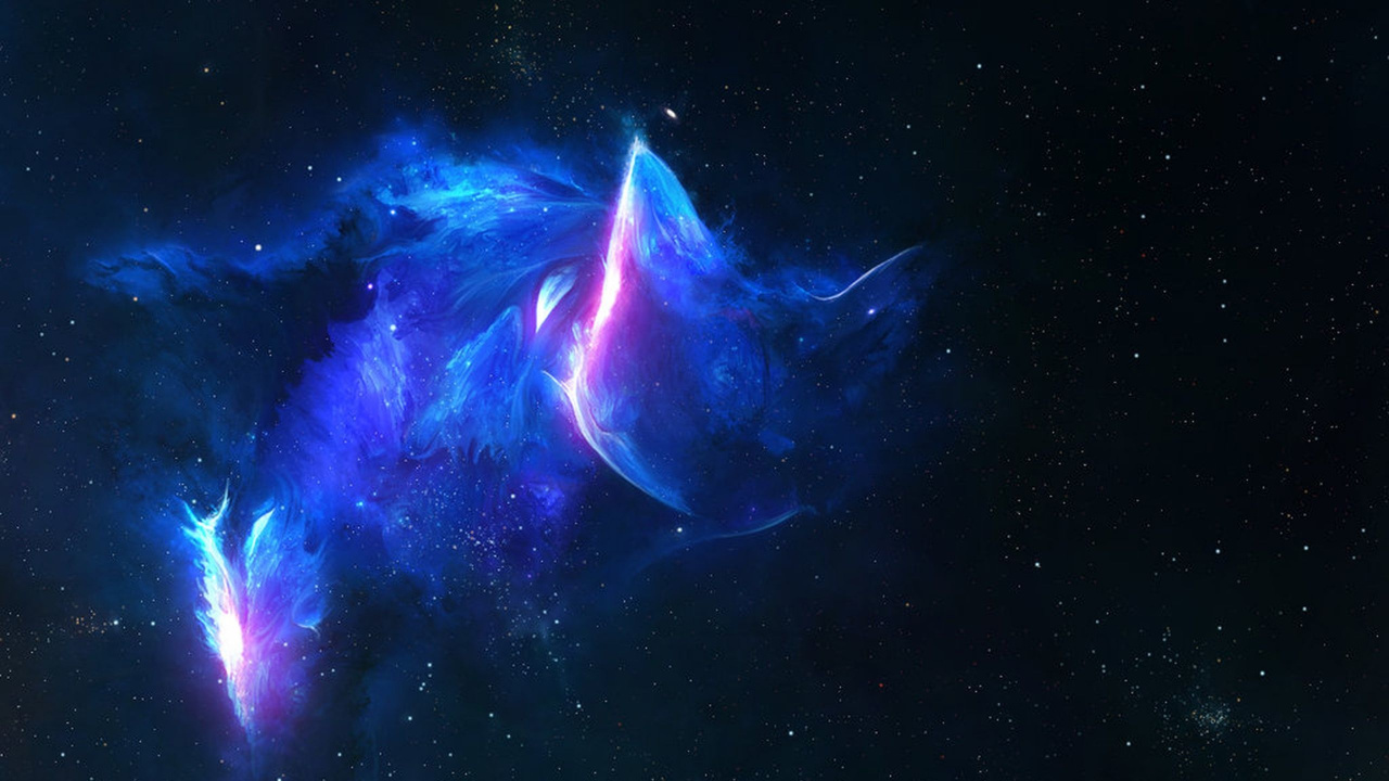 Обои кот, атмосфера, лазурный, окружающая среда, туманность в разрешении 1280x720