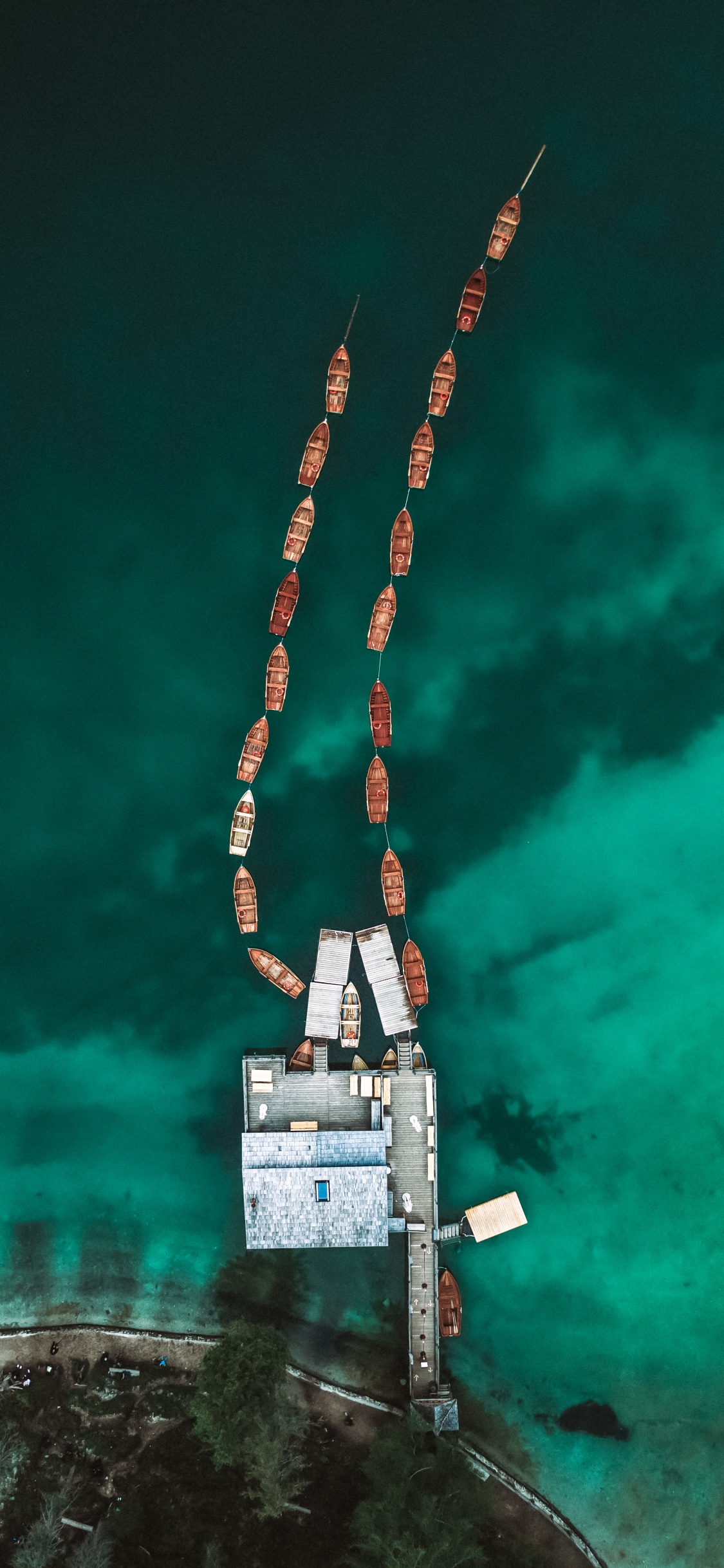 Обои дерево, электрик, древесина, город, арт в разрешении 1125x2436