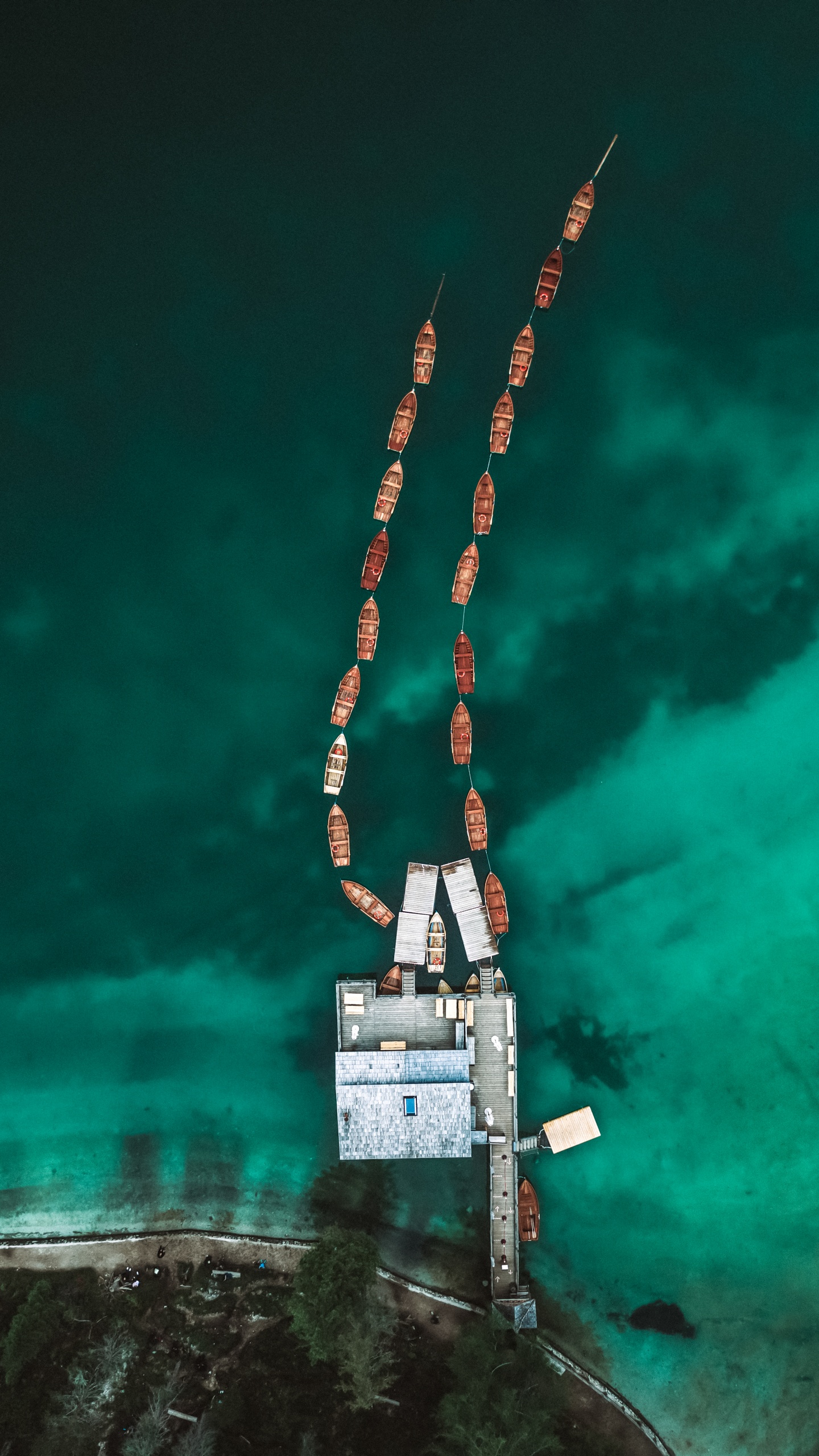 Обои дерево, электрик, древесина, город, арт в разрешении 1440x2560