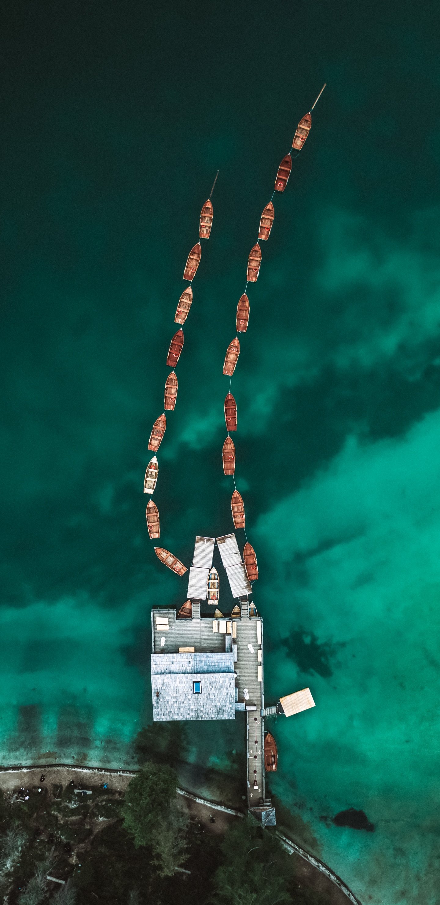 Обои дерево, электрик, древесина, город, арт в разрешении 1440x2960