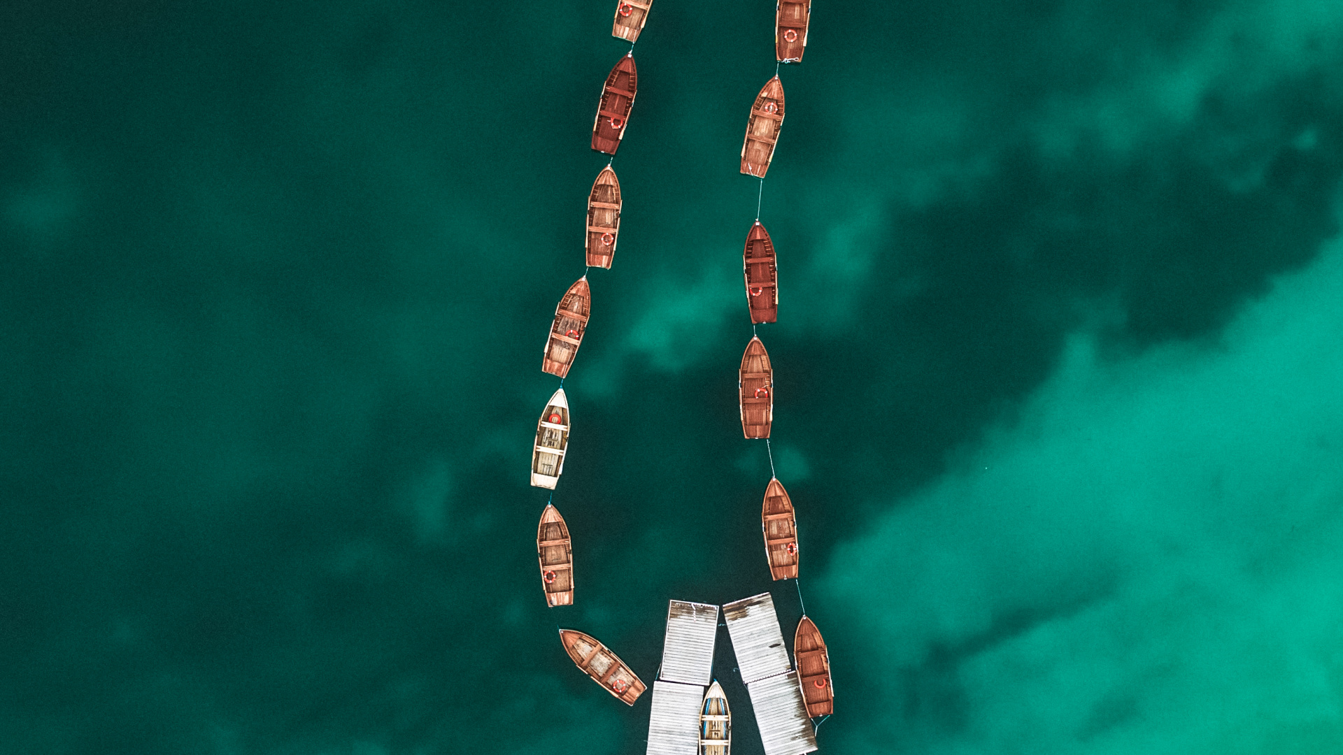 Обои дерево, электрик, древесина, город, арт в разрешении 1920x1080