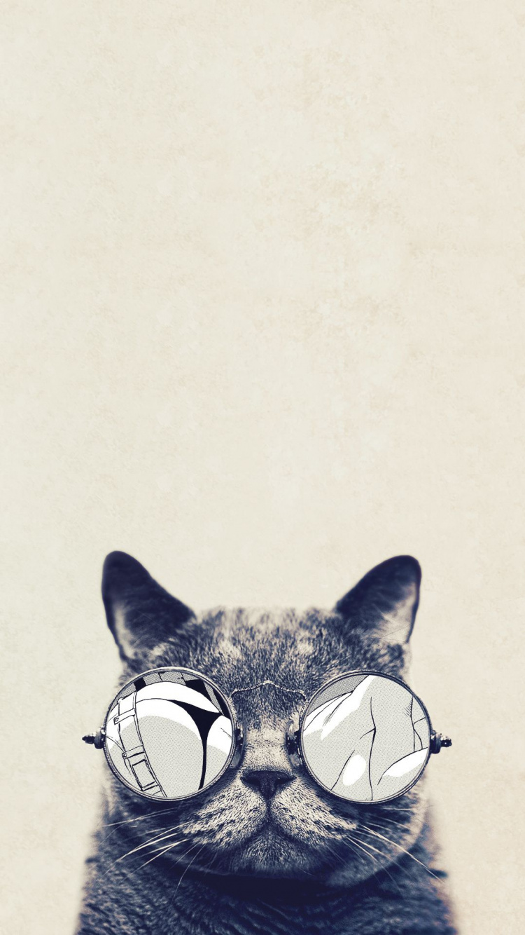 Обои кот, кошачьих, бакенбарды, морда, иллюстрация в разрешении 750x1334