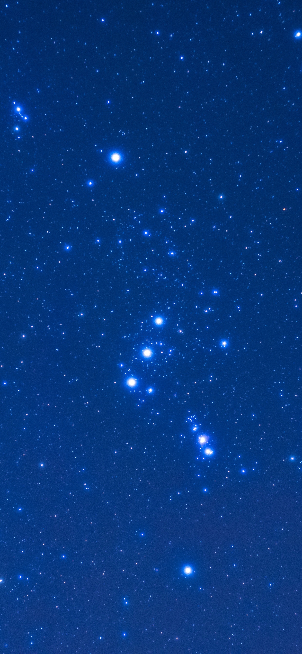 Обои Созвездие, звезда, Астрономия, ночное небо, синий в разрешении 1242x2688