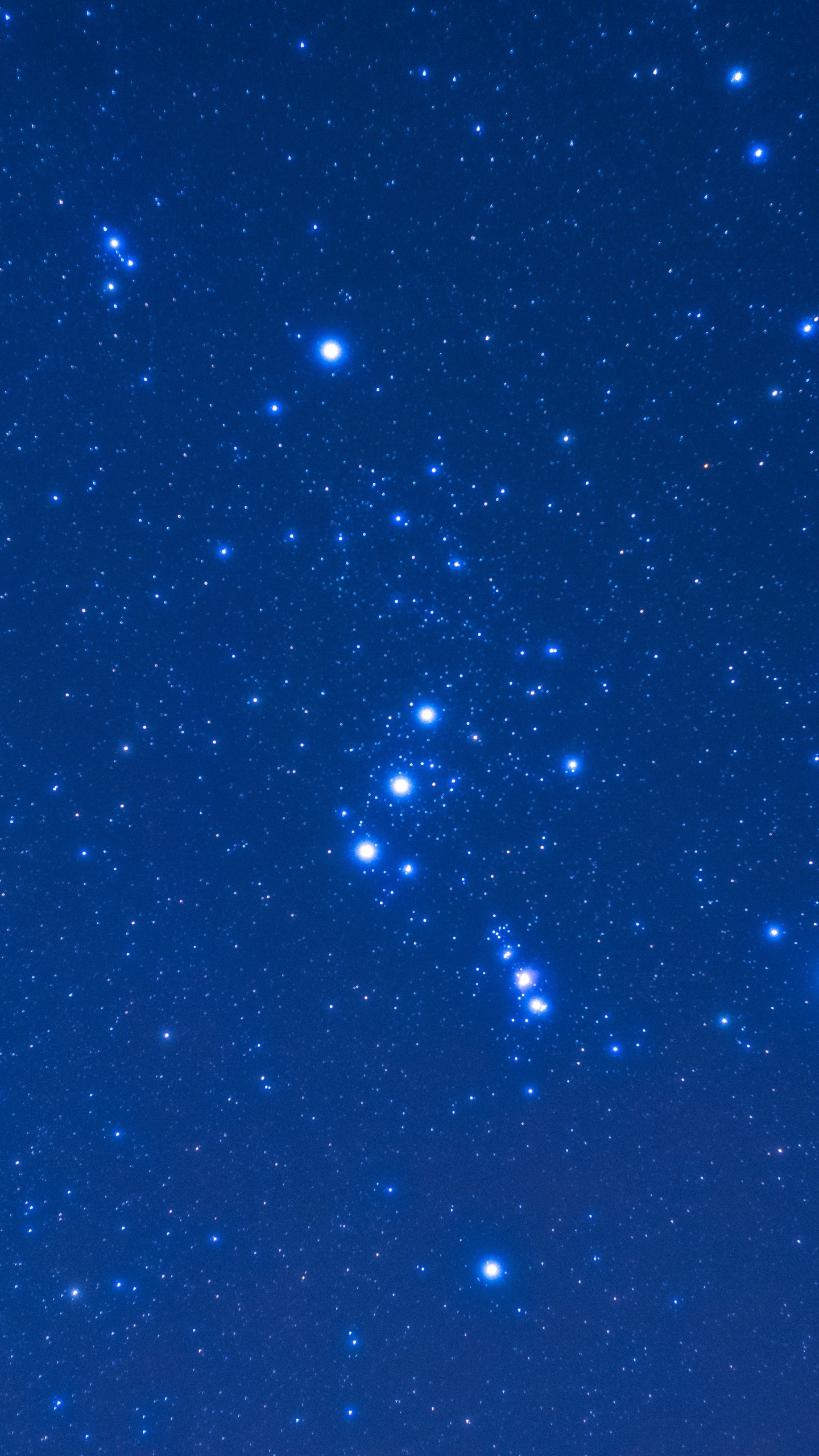 Обои Созвездие, звезда, Астрономия, ночное небо, синий в разрешении 1440x2560
