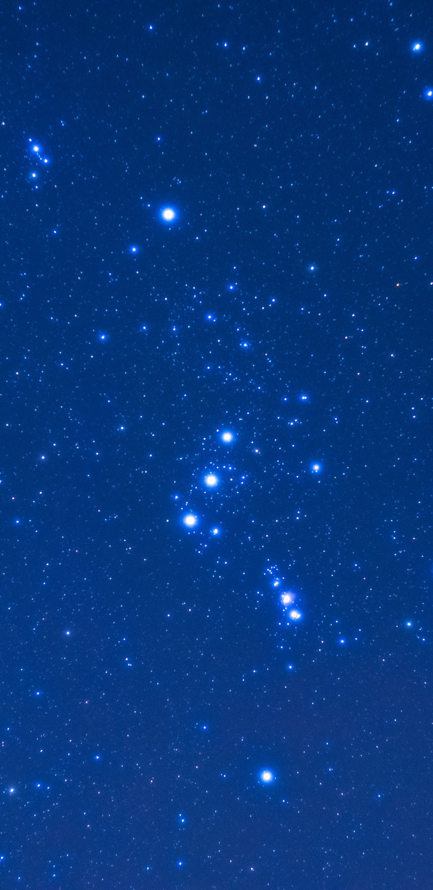 Обои Созвездие, звезда, Астрономия, ночное небо, синий в разрешении 1440x2960