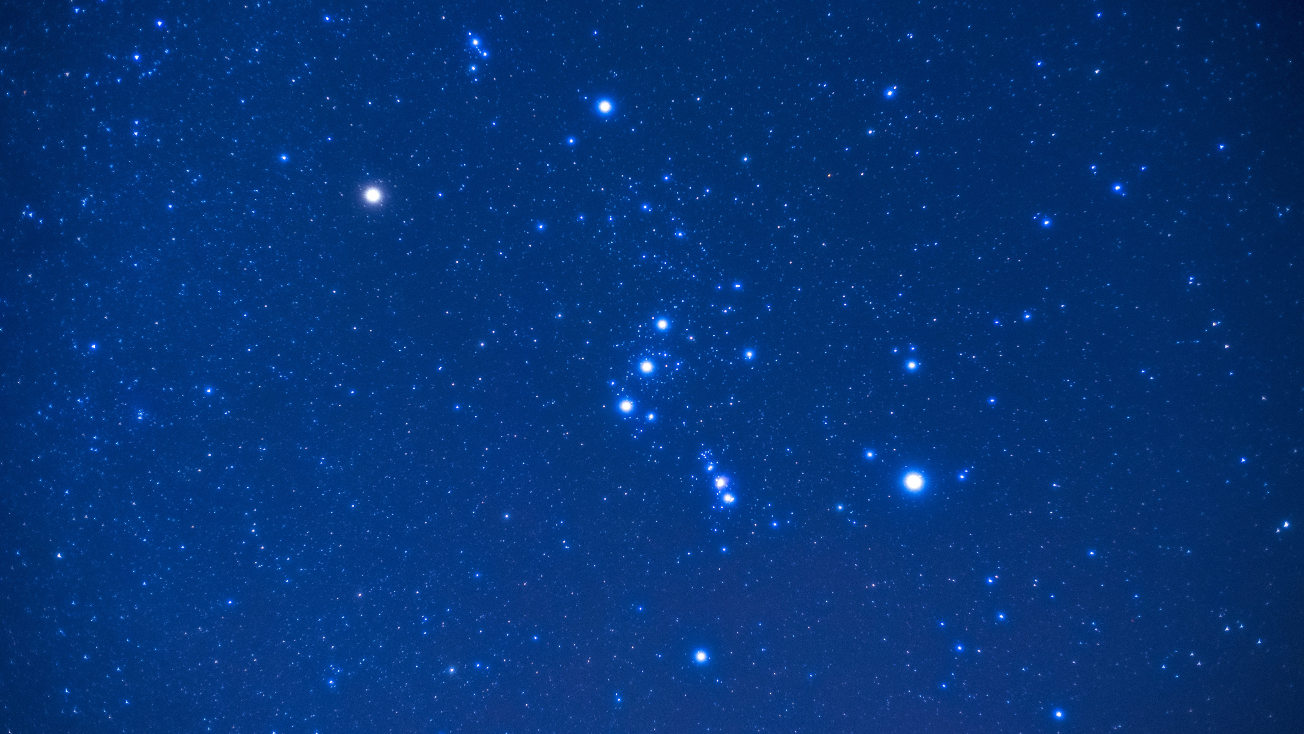 Обои Созвездие, звезда, Астрономия, ночное небо, синий в разрешении 2560x1440