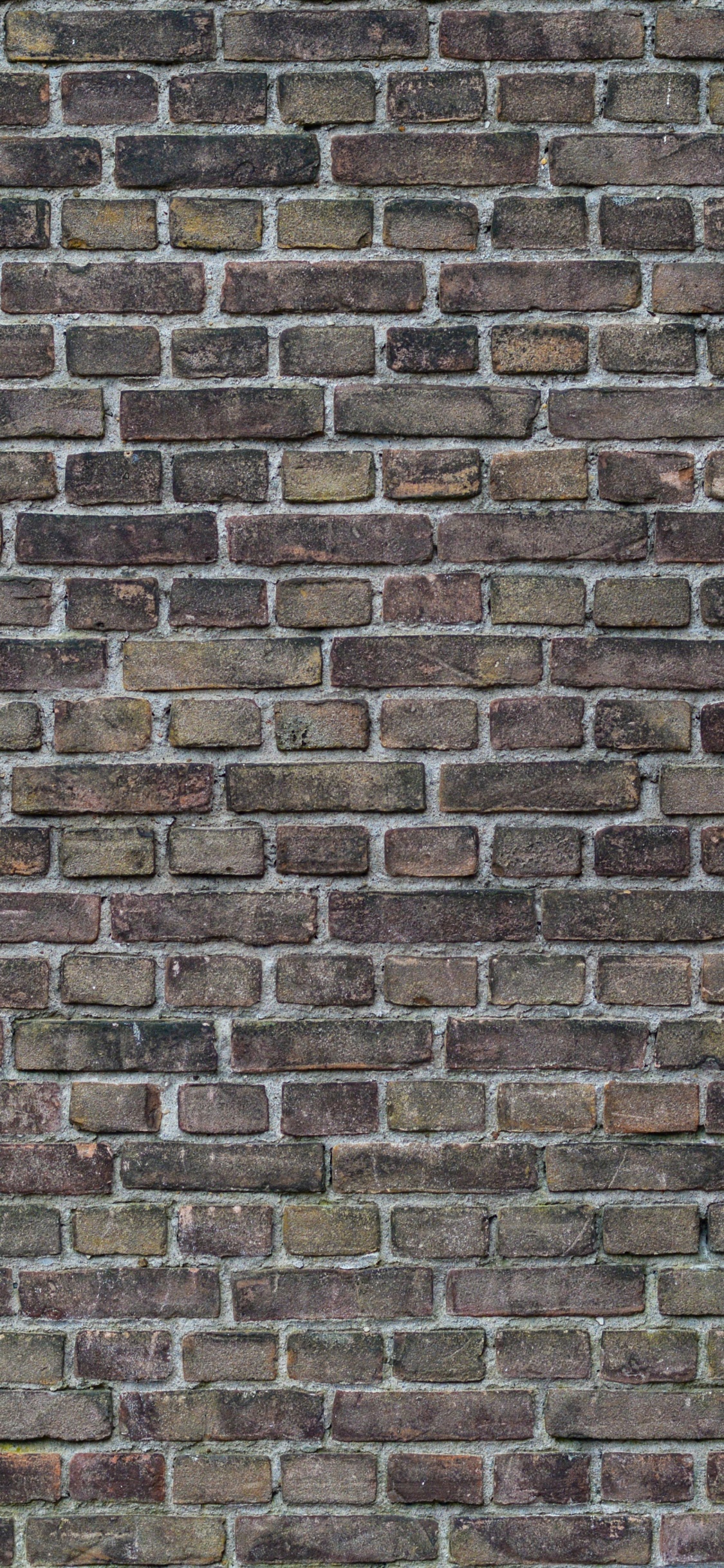 Обои кирпич, стена, каменная стена, кирпичная кладка, текстура в разрешении 1125x2436