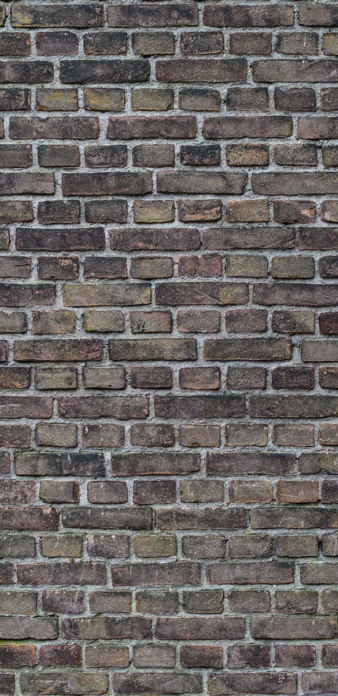 Обои кирпич, стена, каменная стена, кирпичная кладка, текстура в разрешении 1440x2960