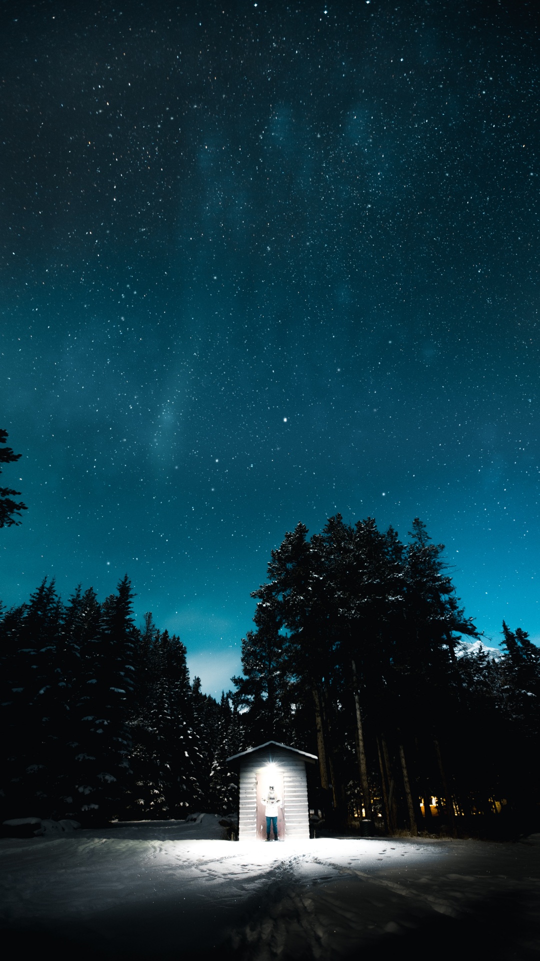 Обои ночь, черный, темнота, синий, дерево в разрешении 1080x1920