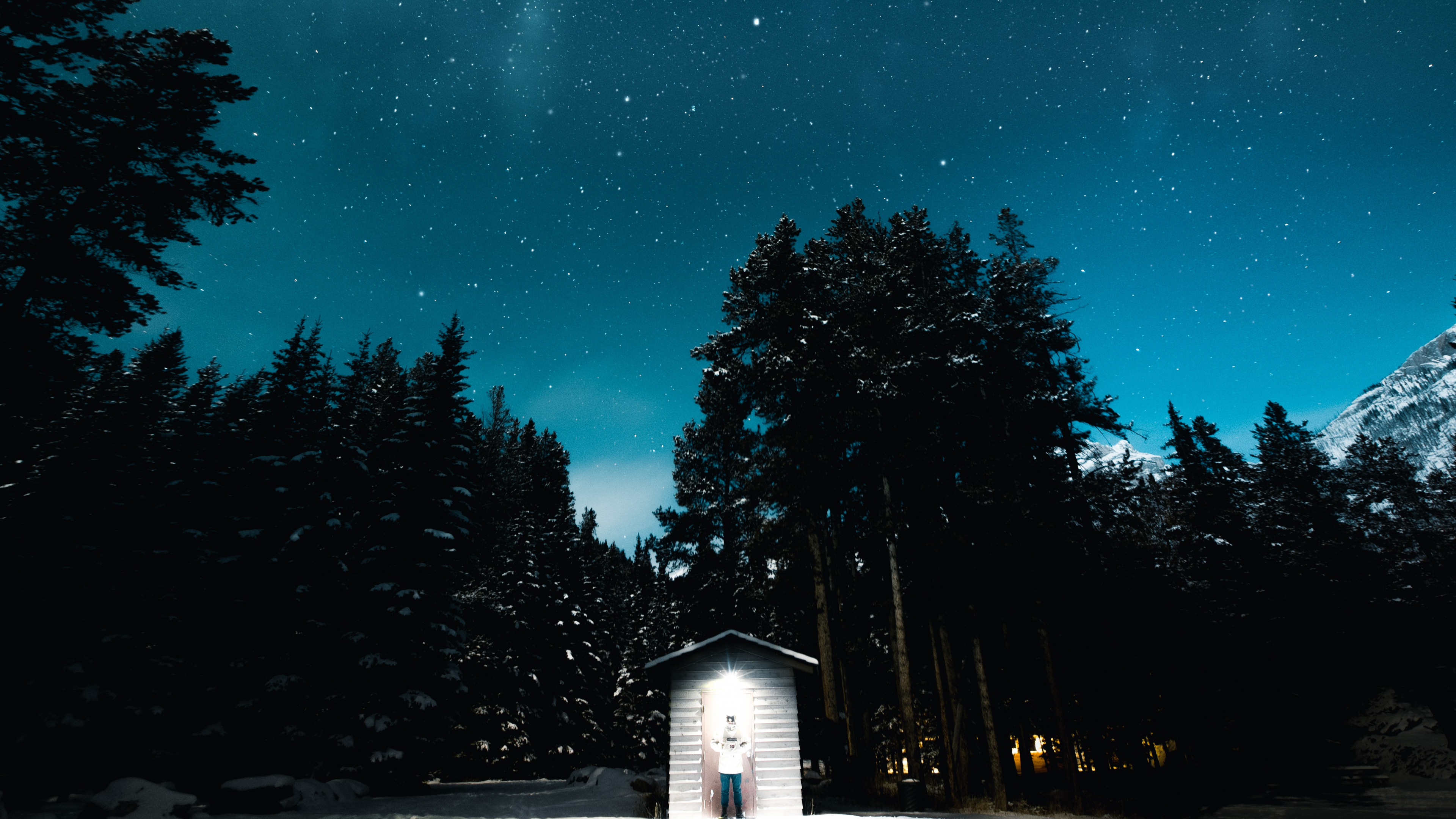 Обои ночь, черный, темнота, синий, дерево в разрешении 3840x2160