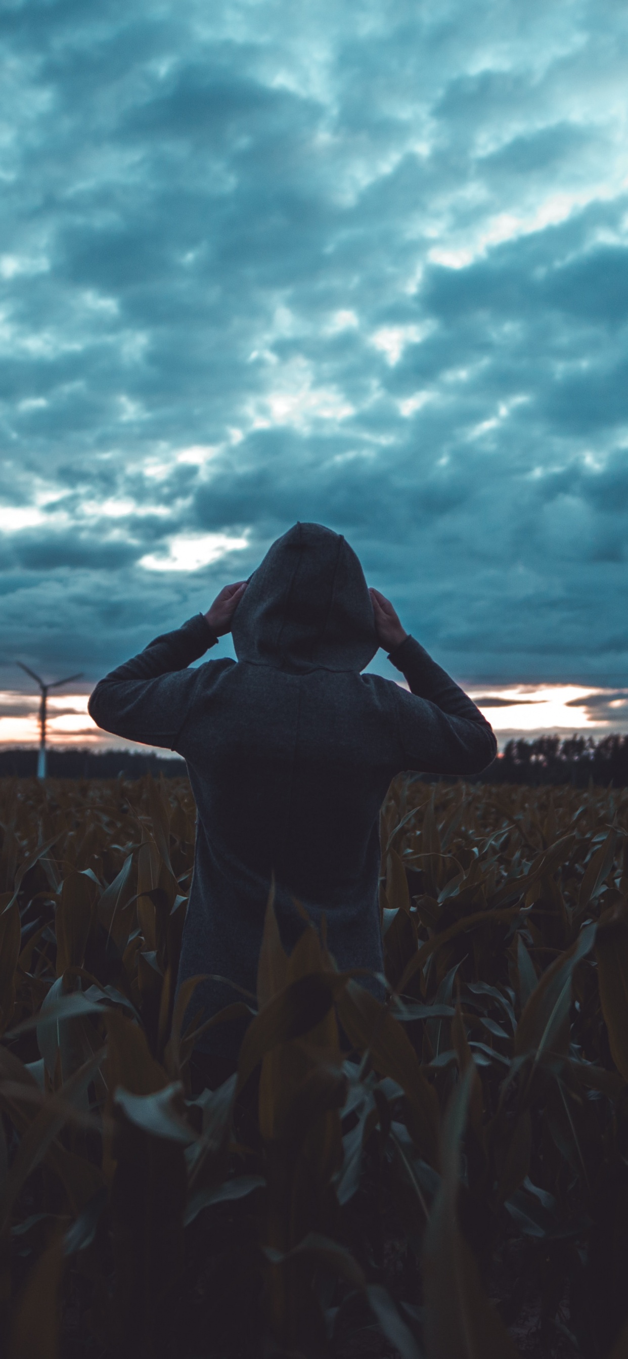 Обои закат, трава, темнота, Толпа Человек, горизонт в разрешении 1242x2688