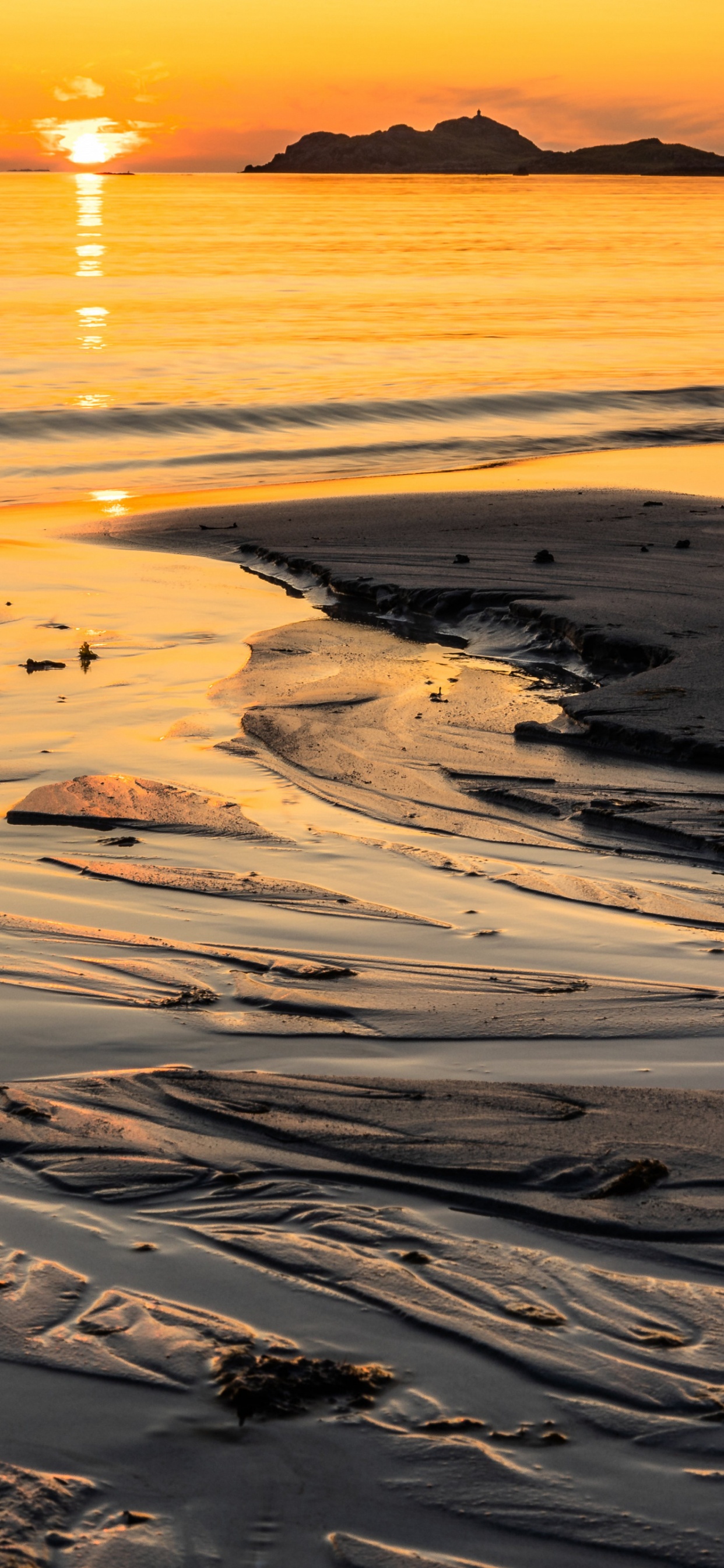 Обои берег, мадфлэт, вода, гидроресурсы, атмосфера в разрешении 1242x2688