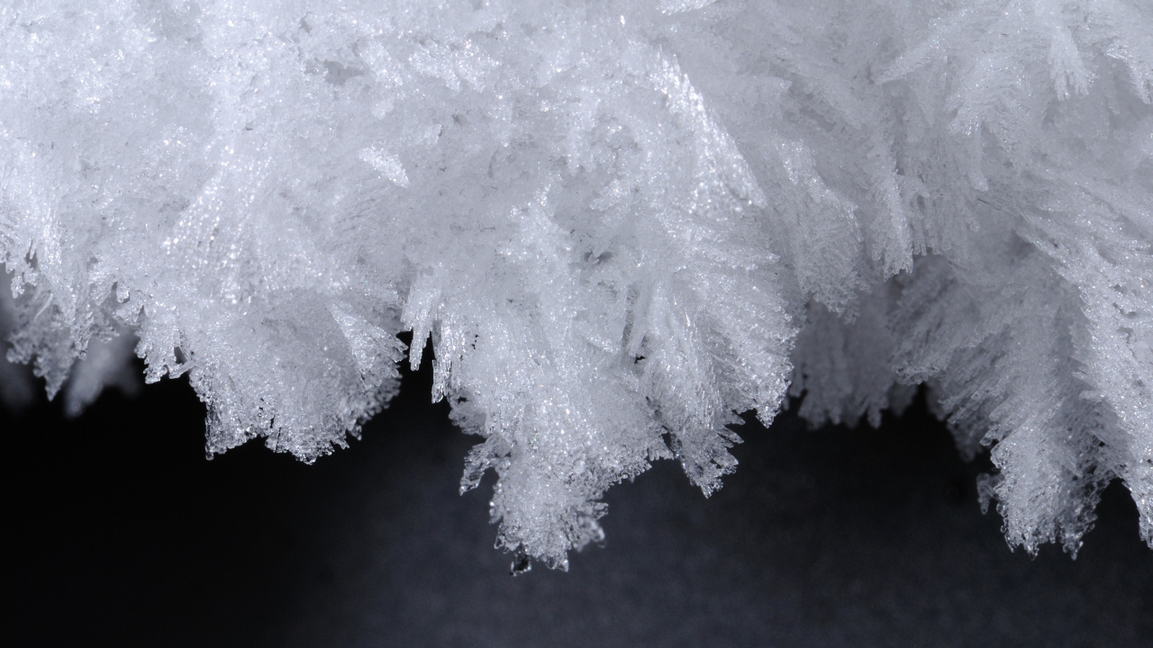 Обои лед, белые, замораживание, мороз, снег в разрешении 1280x720