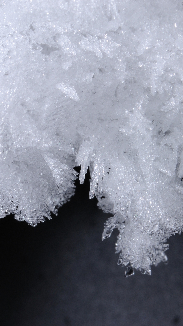 Обои лед, белые, замораживание, мороз, снег в разрешении 750x1334