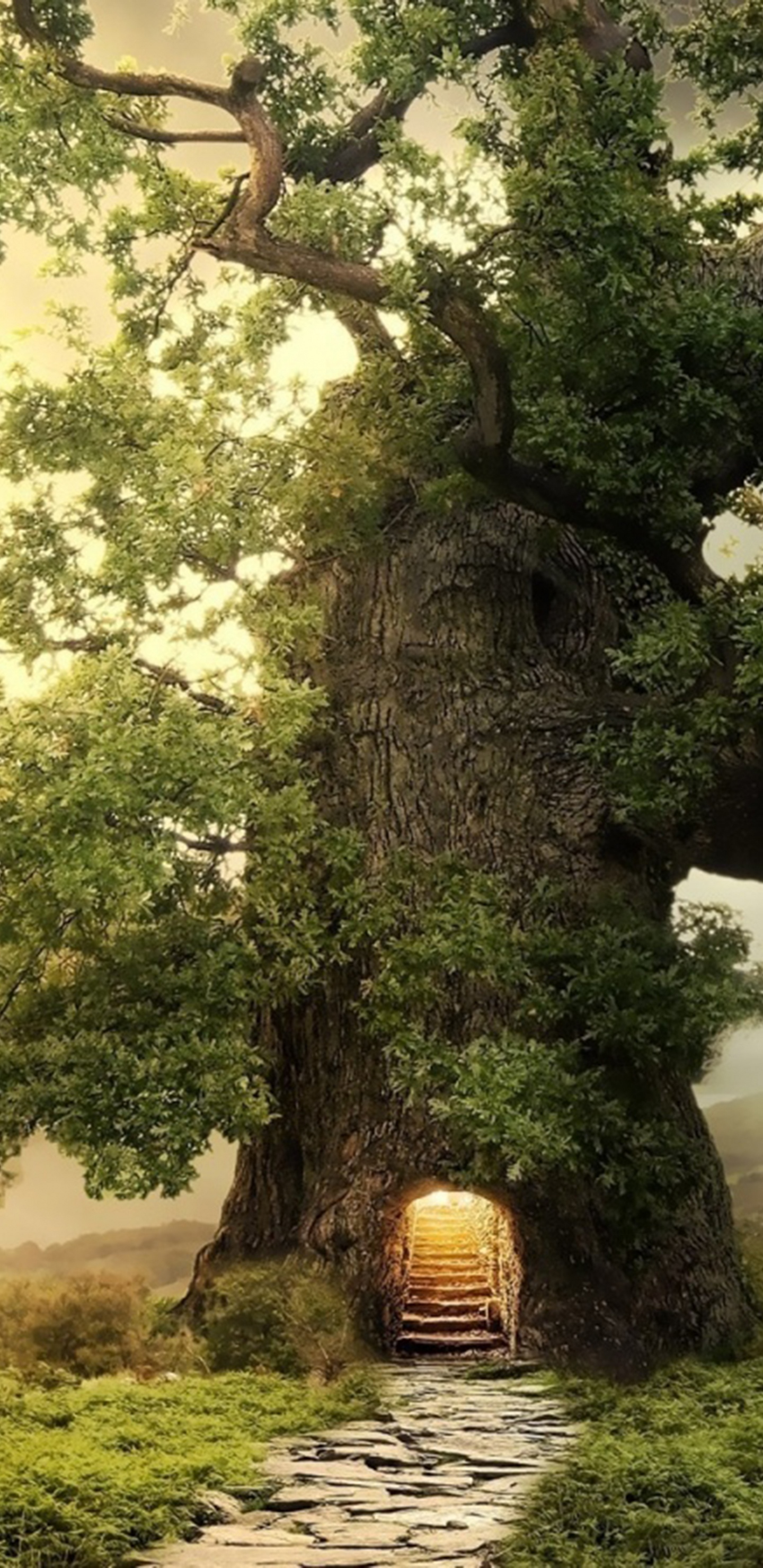 Обои домик на дереве, Хаус, дерево, природный ландшафт, природа в разрешении 1440x2960