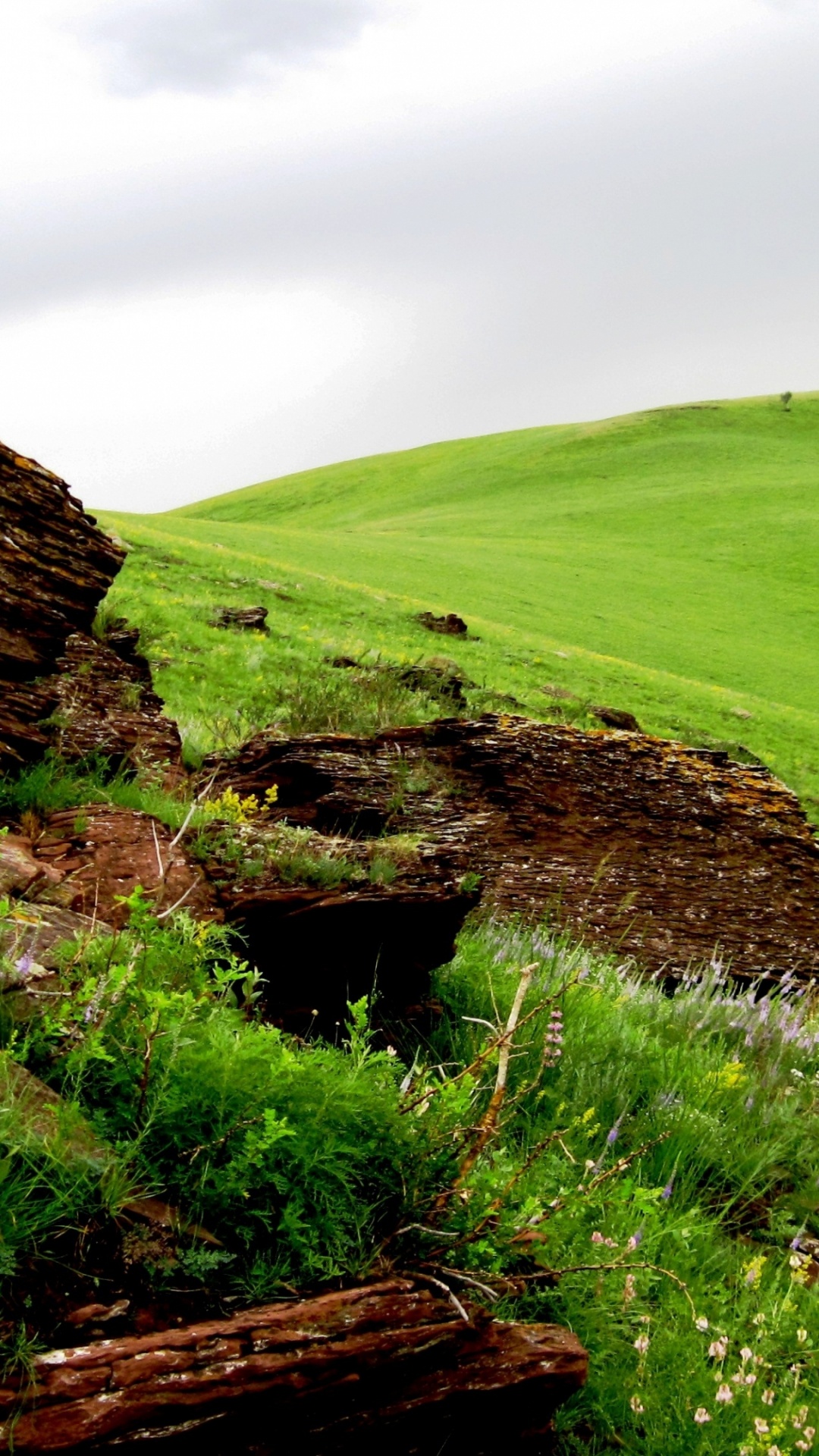 Обои холм, нагорье, рок, растительность, сельский район в разрешении 1080x1920