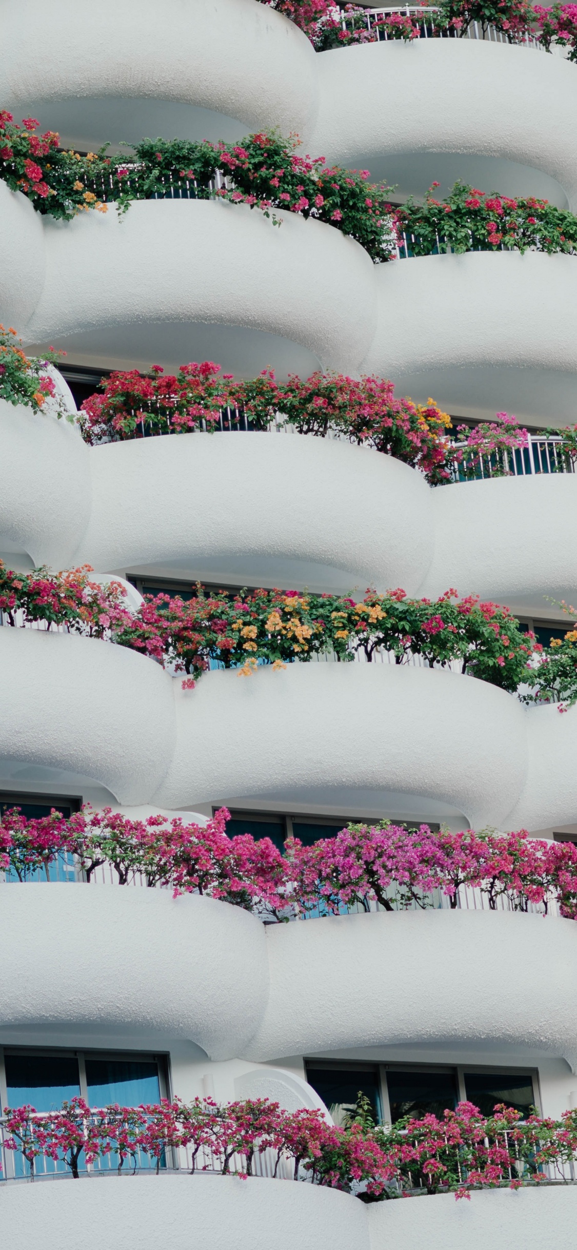 Обои архитектура, здание, розовый, материальное свойство, узор в разрешении 1125x2436