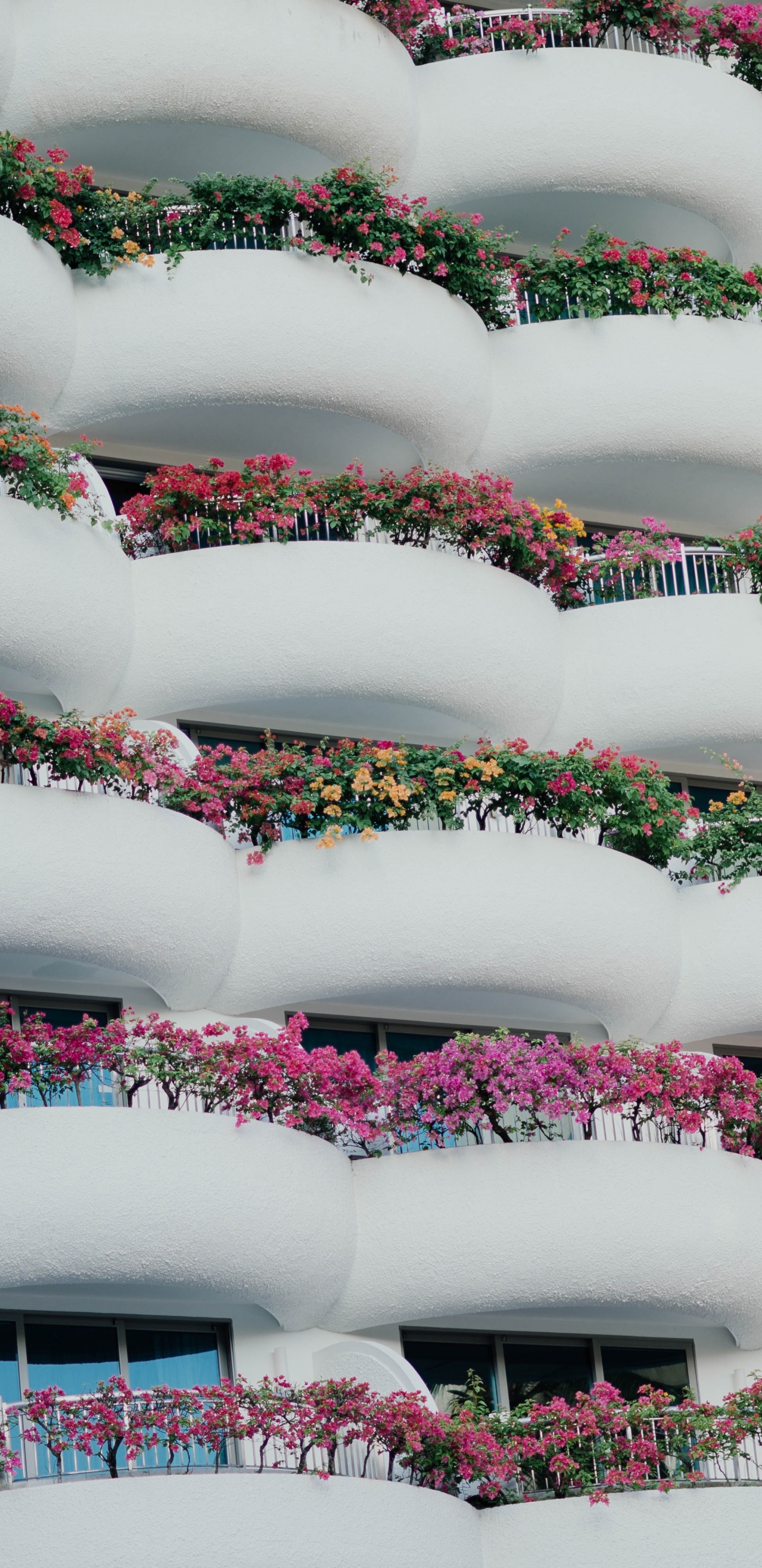 Обои архитектура, здание, розовый, материальное свойство, узор в разрешении 1440x2960