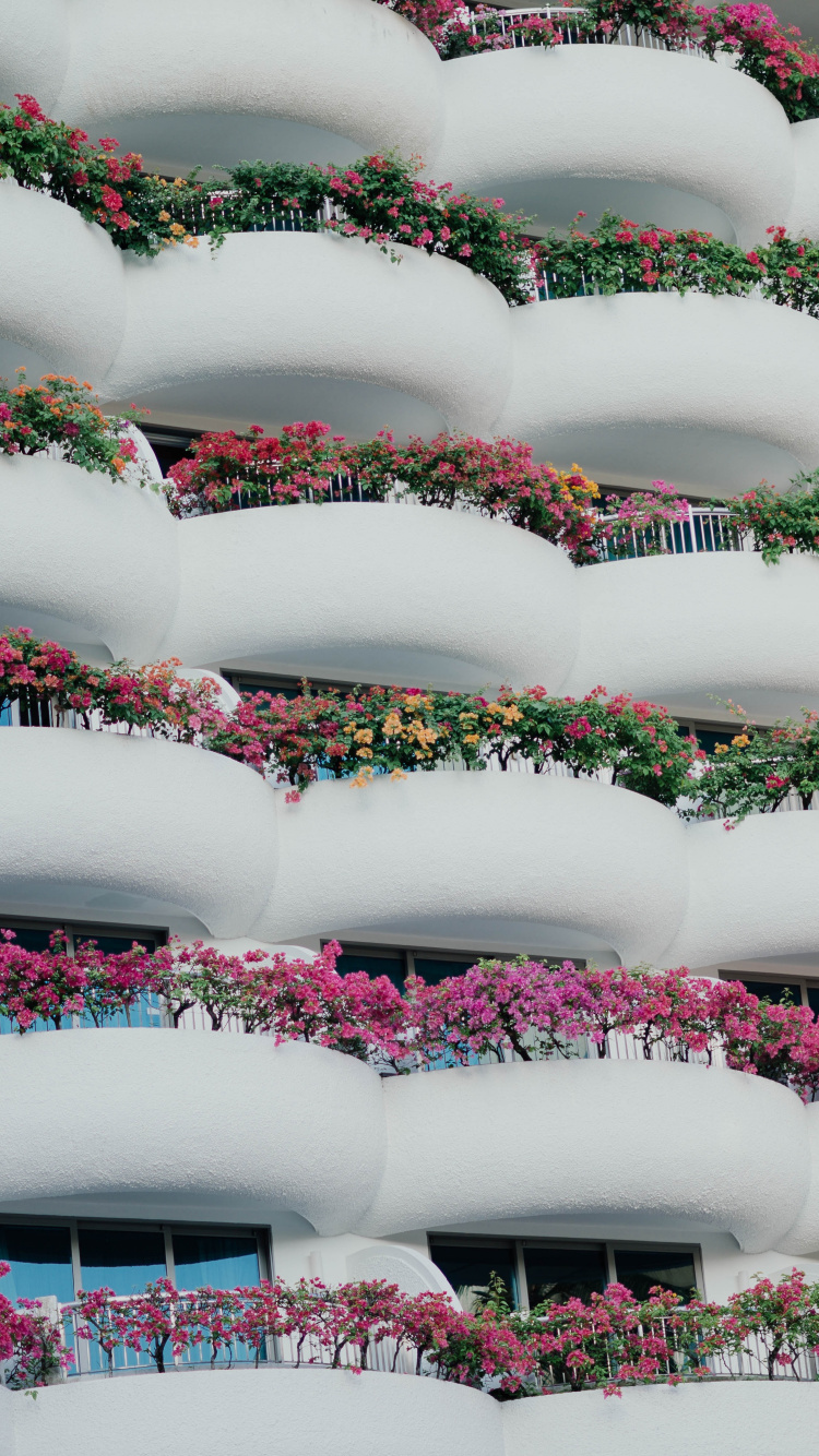 Обои архитектура, здание, розовый, материальное свойство, узор в разрешении 750x1334