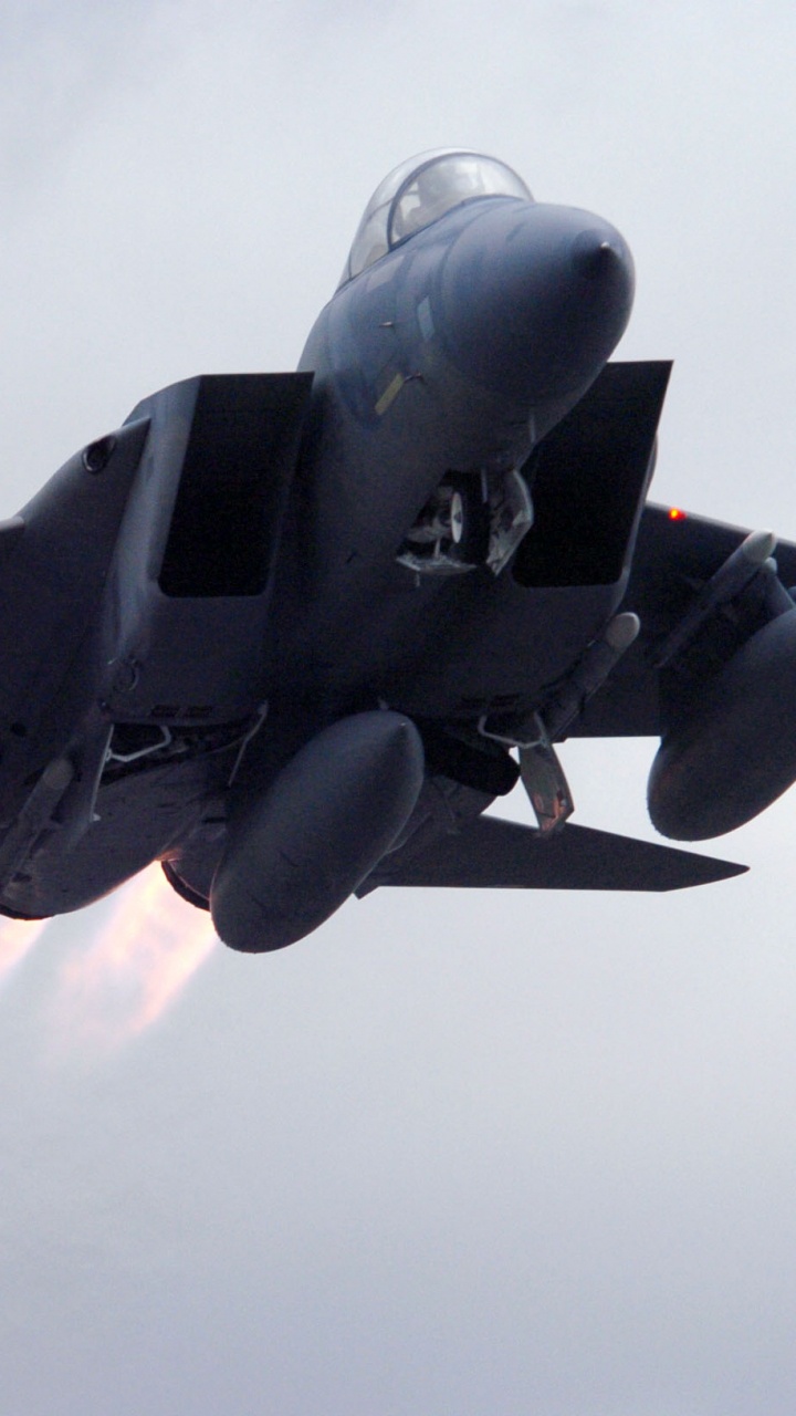 Обои самолет, самолеты, военный самолет, воздушные силы, истребительная авиация в разрешении 720x1280