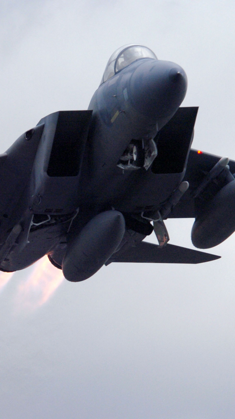 Обои самолет, самолеты, военный самолет, воздушные силы, истребительная авиация в разрешении 750x1334