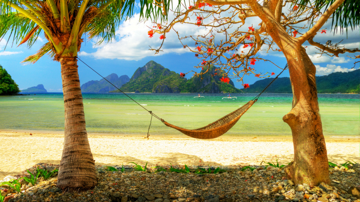 Обои гамак, дерево, тропическая зона, берег, отпуск в разрешении 1366x768