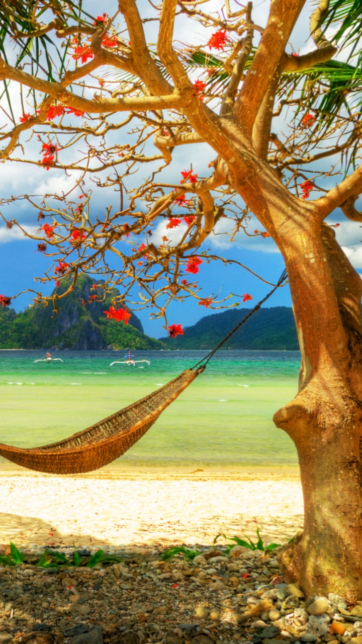 Обои гамак, дерево, тропическая зона, берег, отпуск в разрешении 720x1280