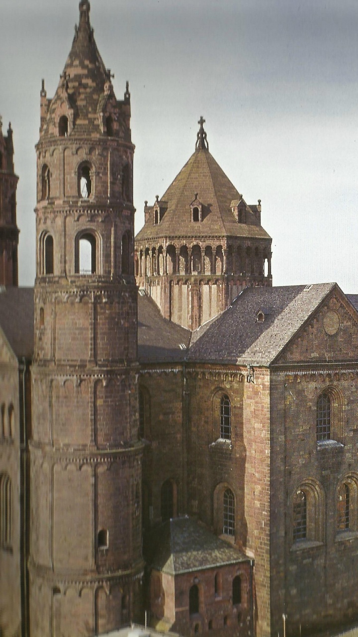 Обои готическая архитектура, архитектура, средневековая архитектура, здание, классическая архитектура в разрешении 720x1280