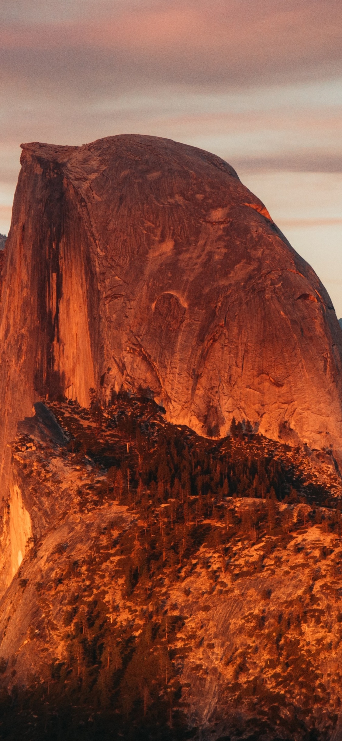 Обои национальный парк йосемити хаф-доум, Половина Купола, Эль-капитан, полукупольная тропа, национальный парк в разрешении 1125x2436