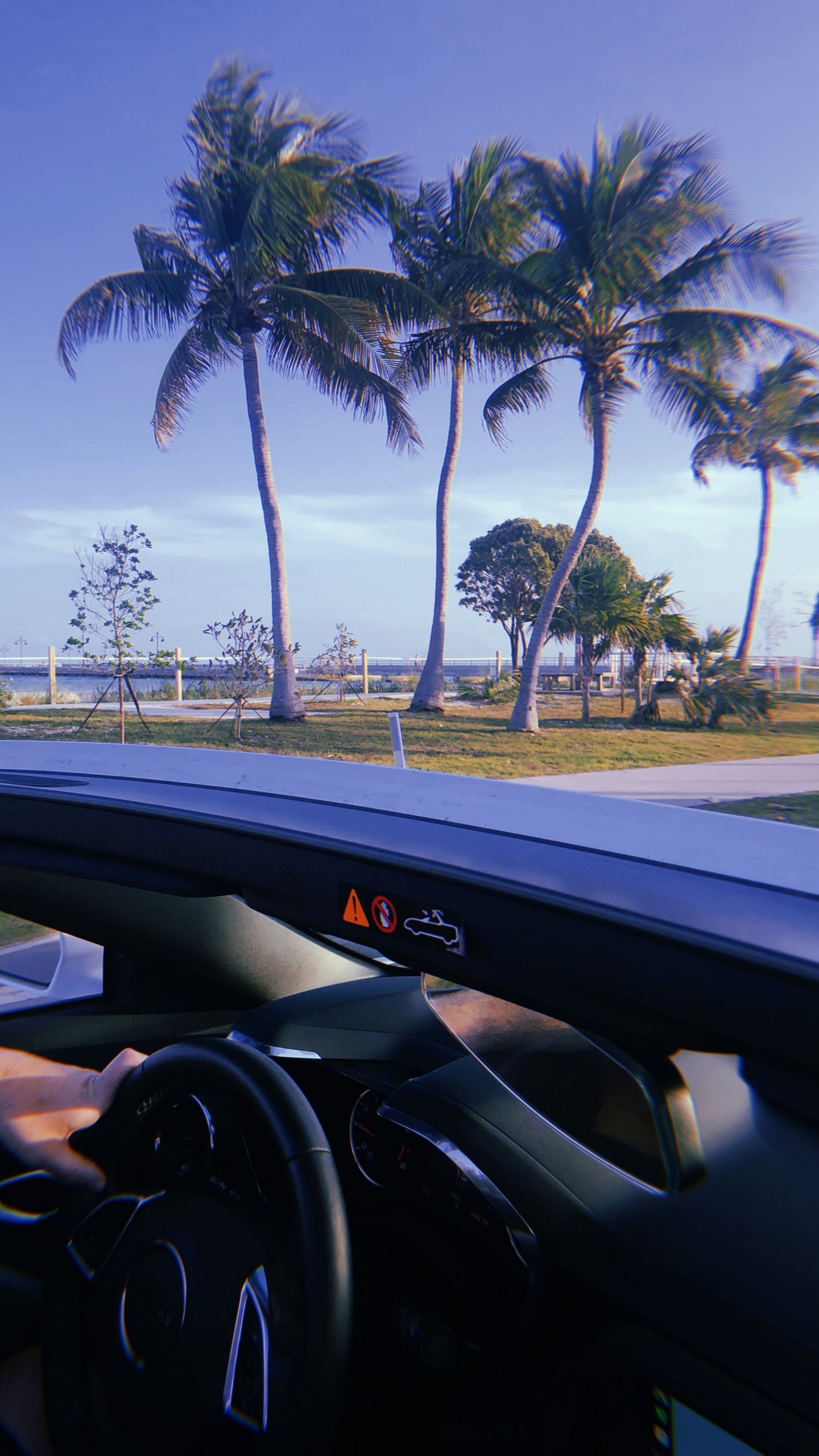 Обои Майами, отражение, Король, рулевой часть, дерево в разрешении 1440x2560