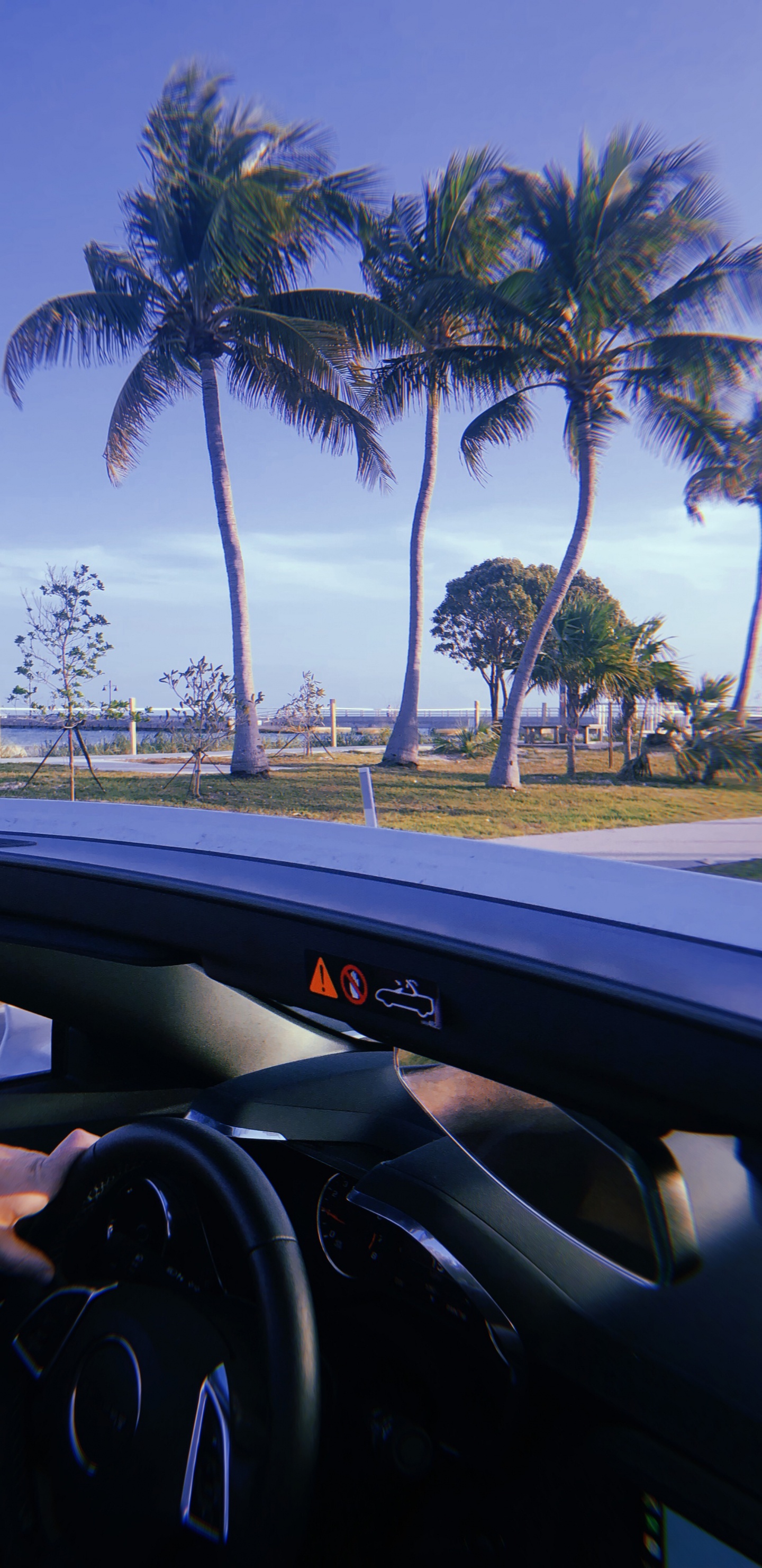 Обои Майами, отражение, Король, рулевой часть, дерево в разрешении 1440x2960