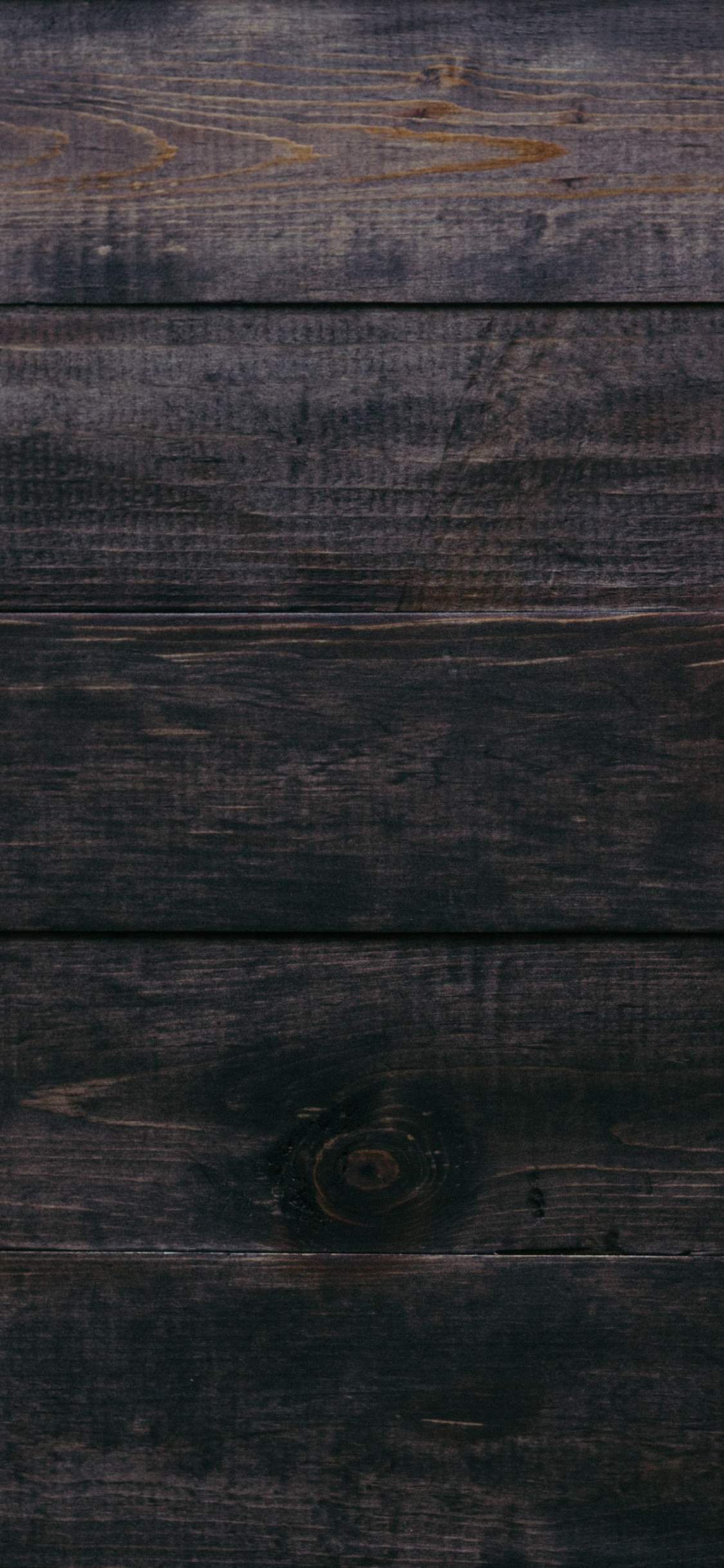 Обои тыквенный пирог, тыква, растение, зимний сквош, калебас в разрешении 1125x2436