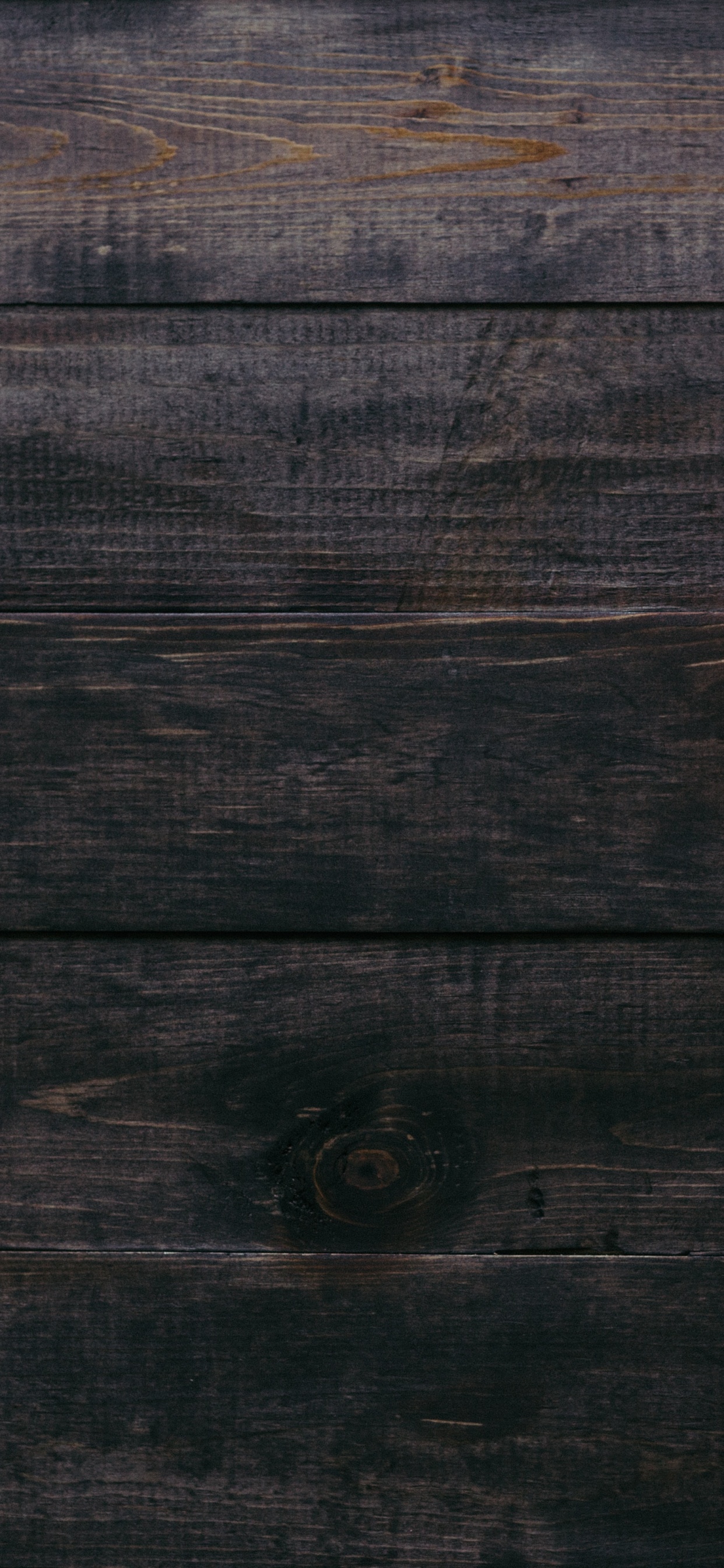 Обои тыквенный пирог, тыква, растение, зимний сквош, калебас в разрешении 1242x2688