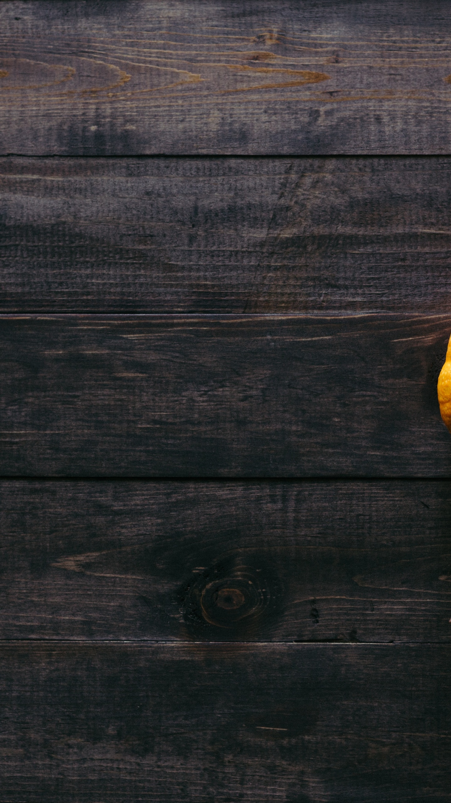 Обои тыквенный пирог, тыква, растение, зимний сквош, калебас в разрешении 1440x2560