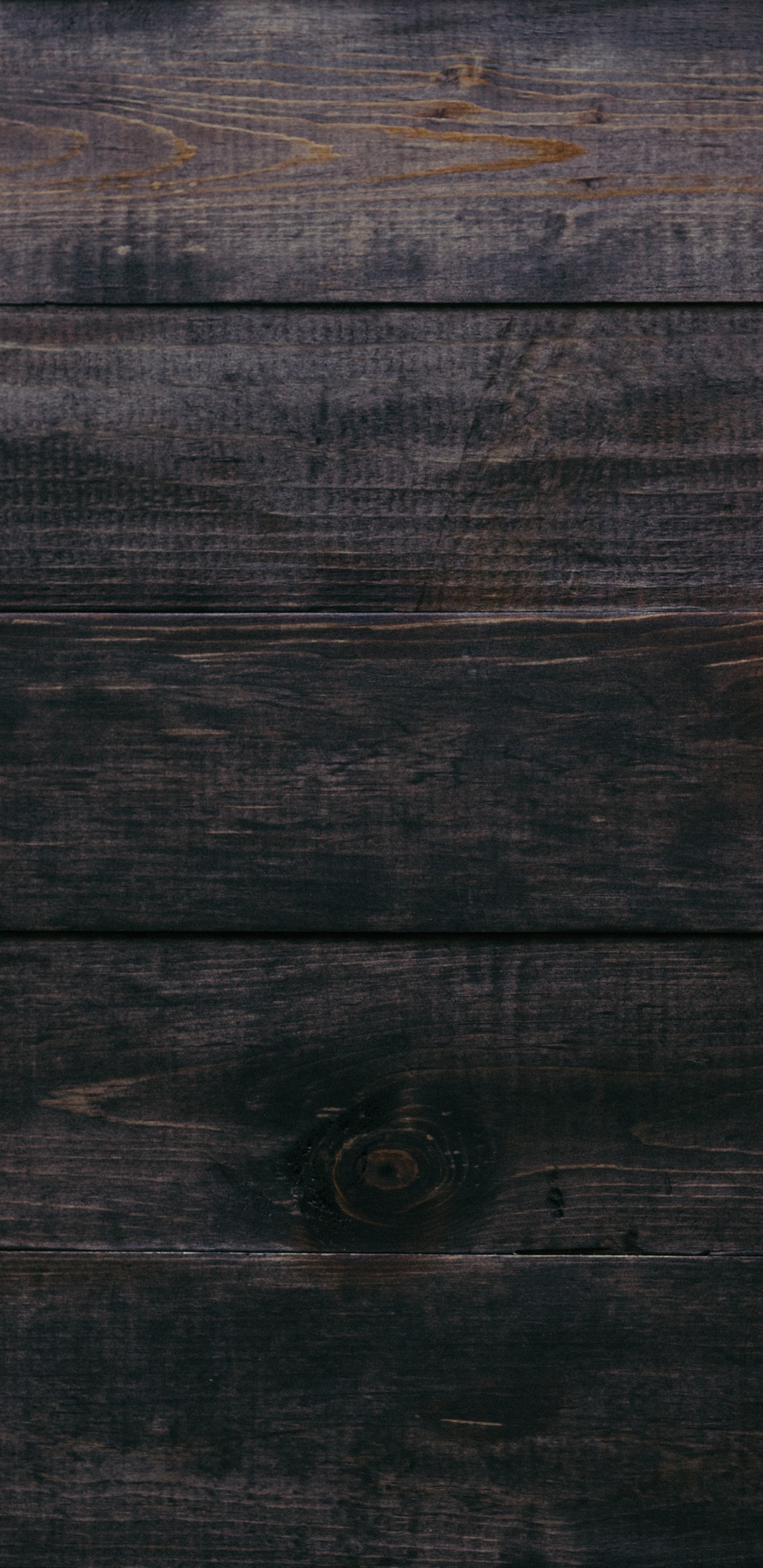 Обои тыквенный пирог, тыква, растение, зимний сквош, калебас в разрешении 1440x2960