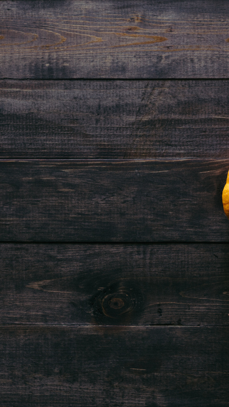 Обои тыквенный пирог, тыква, растение, зимний сквош, калебас в разрешении 750x1334