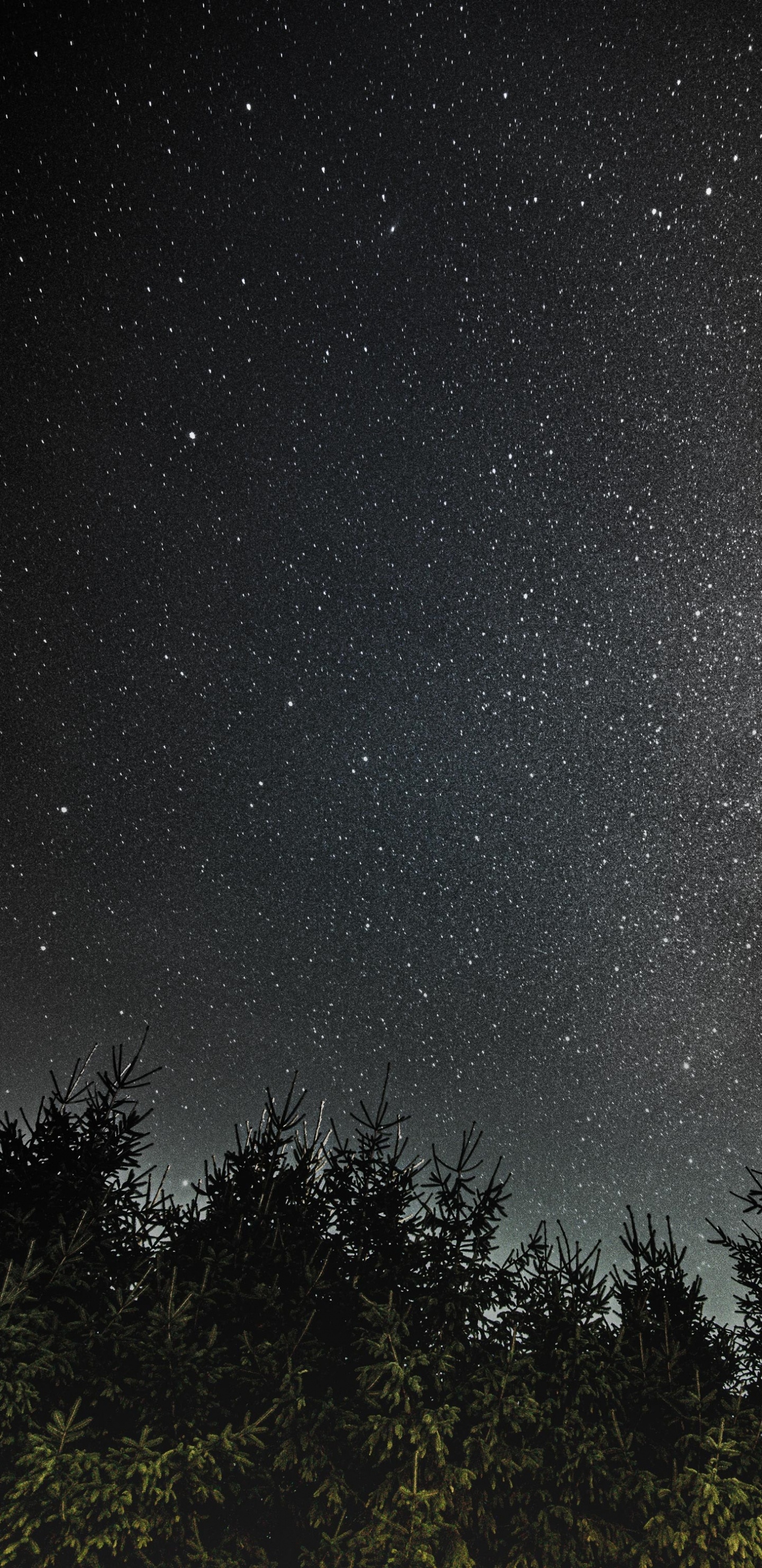 Обои природа, атмосфера, звезда, небо, темнота в разрешении 1440x2960